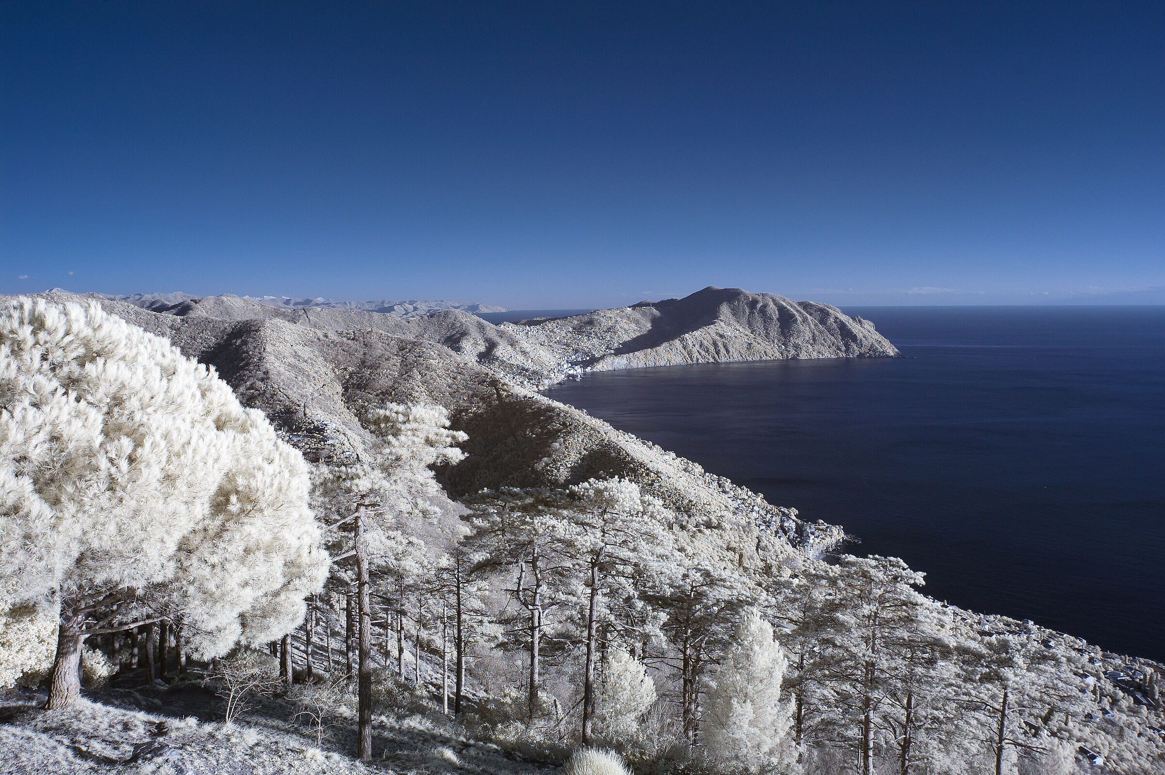 Golfo Paradiso