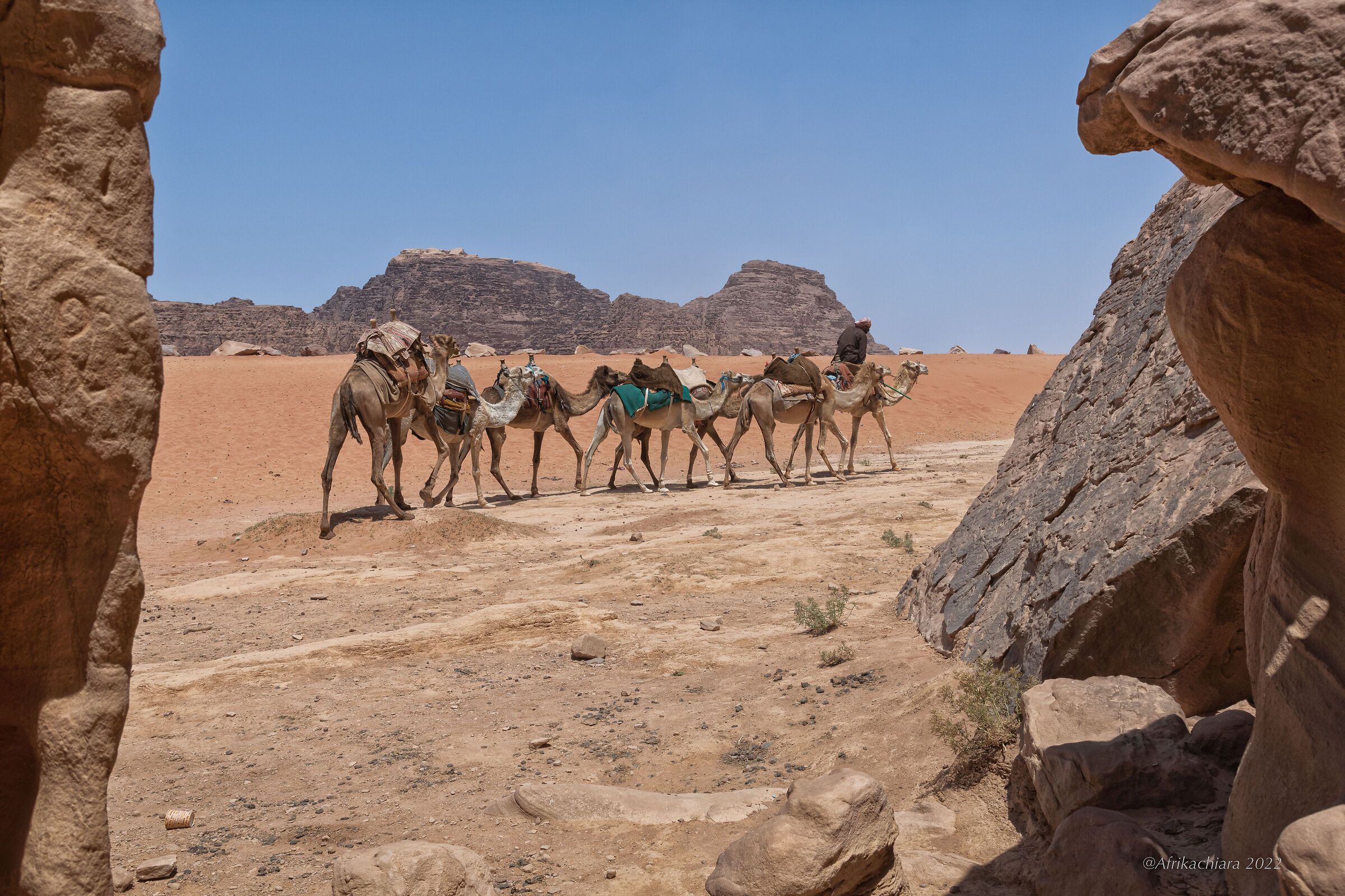 Destination... paradise!