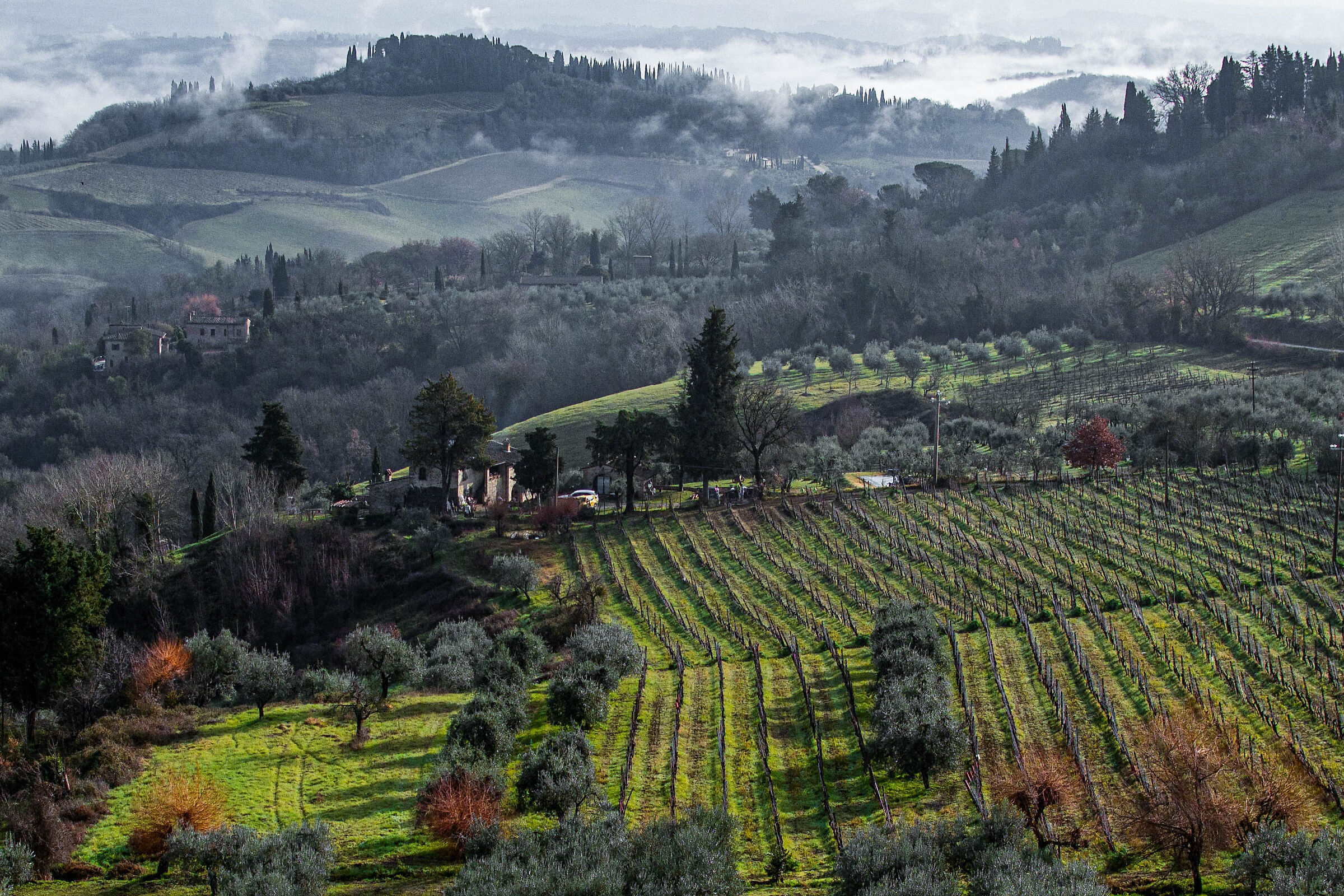 Panorama da San Gimignano