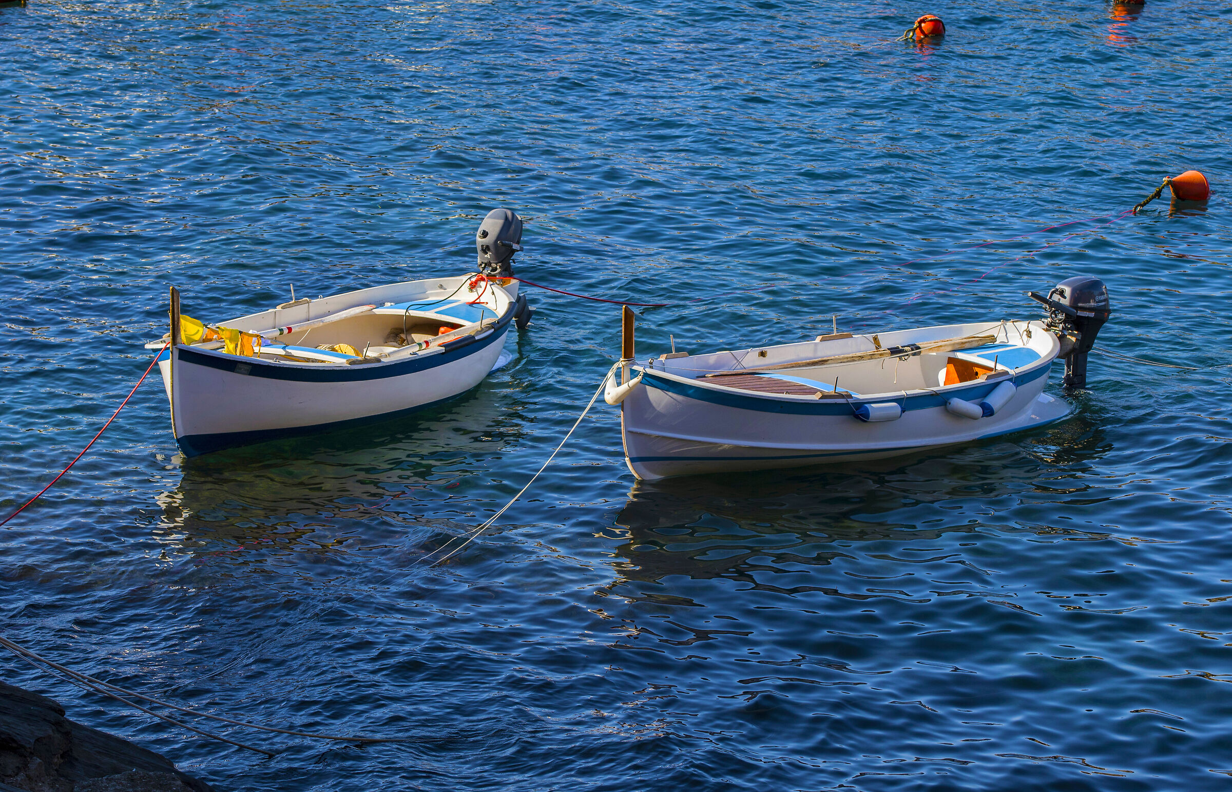 marine ( landscapes )