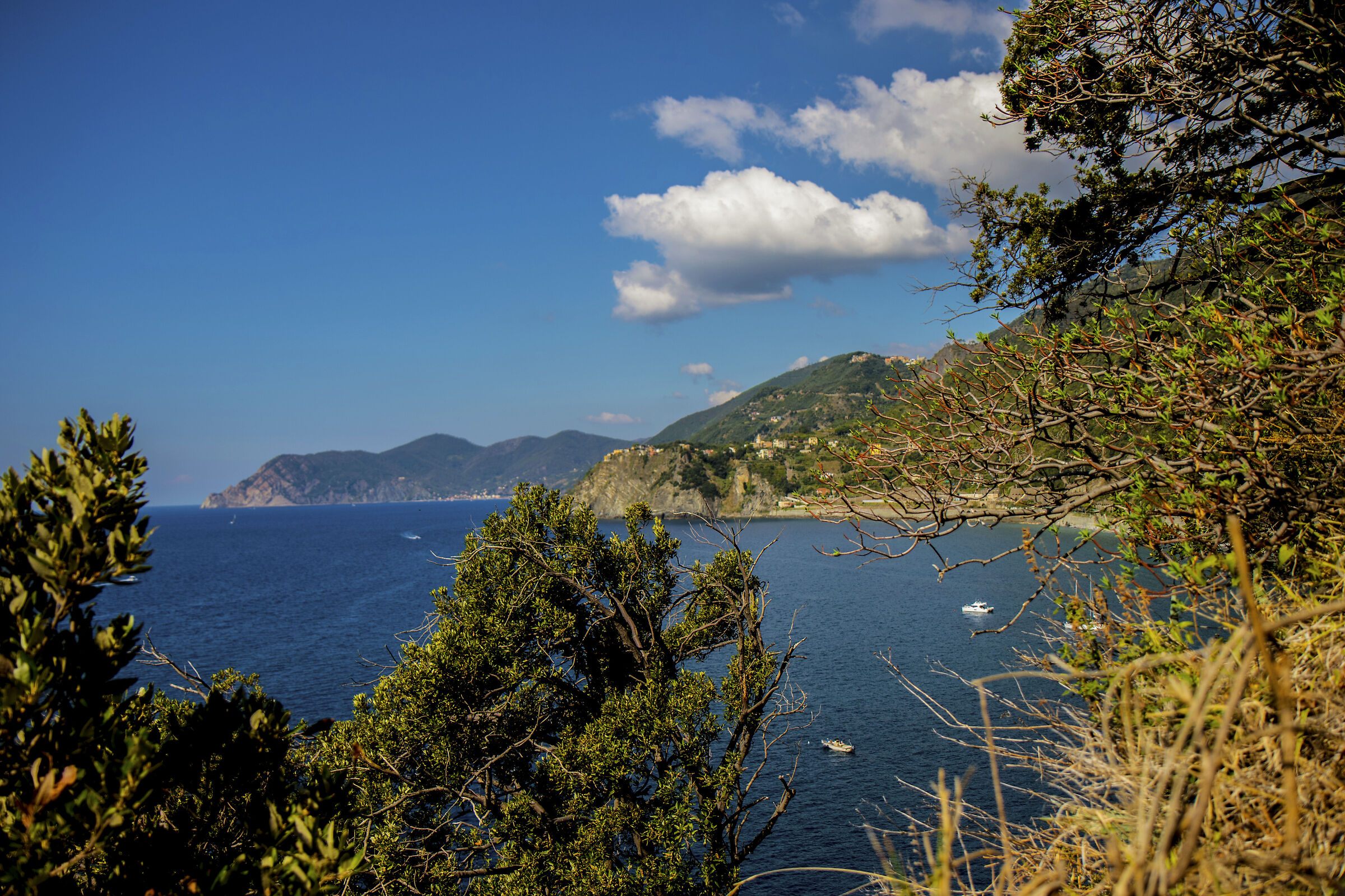 marine ( landscapes )