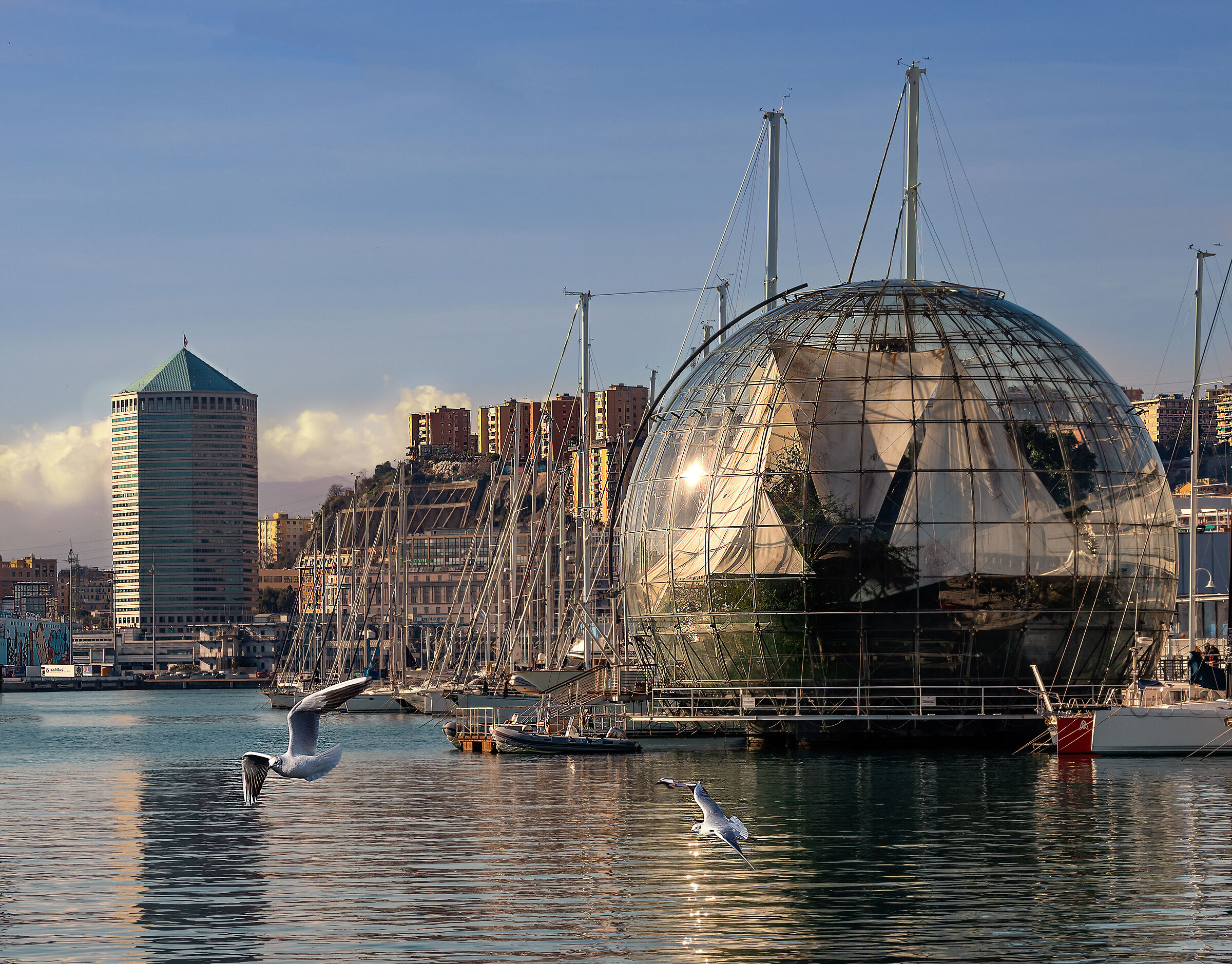 Genoa - Porto antico - Glimpse
