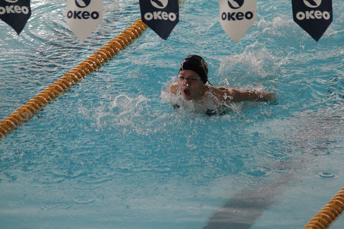 Vasca a delfino2