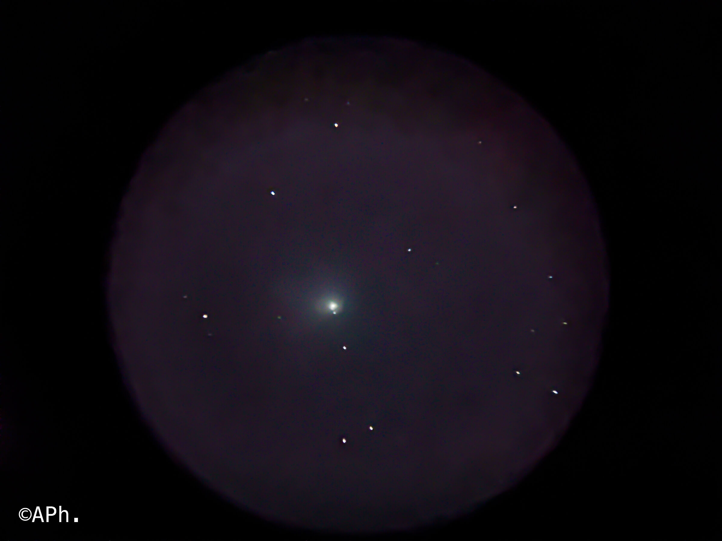 Cometa di Neandertal foto definitiva