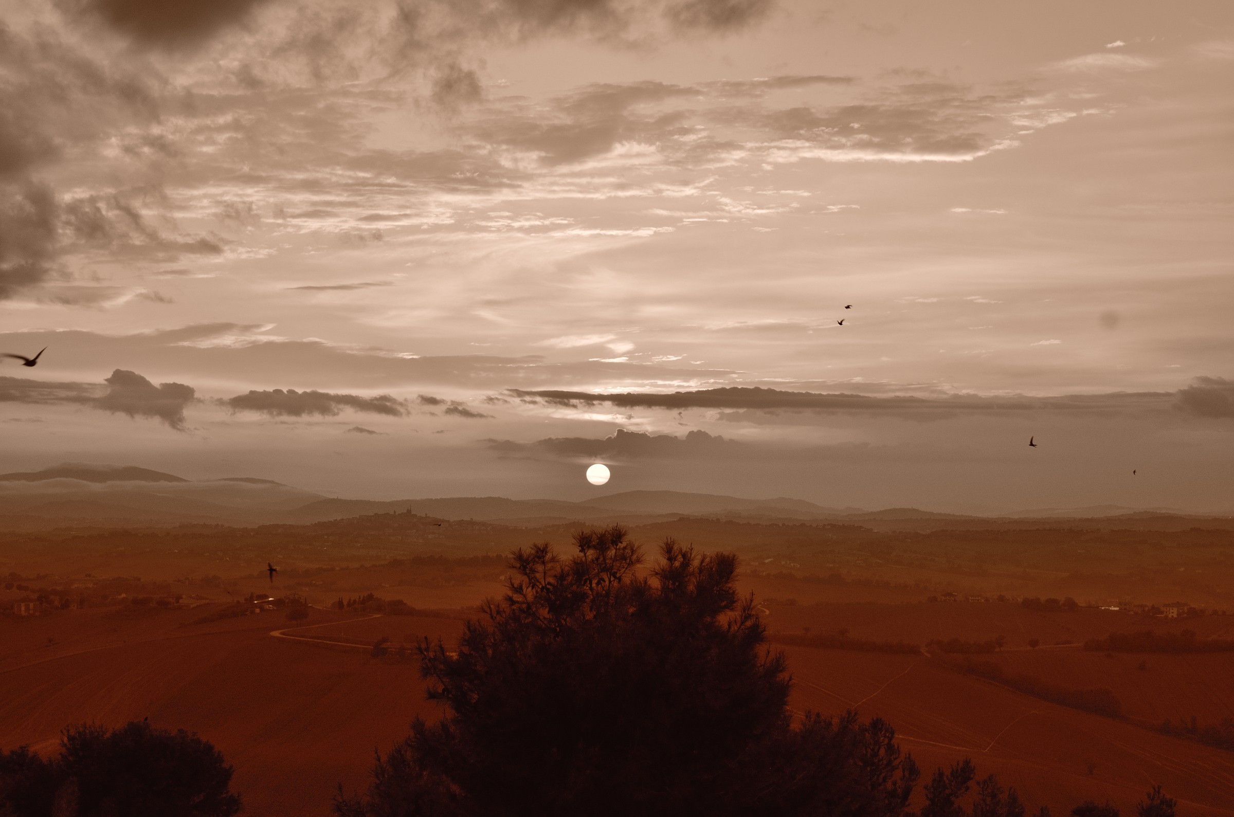 The sunsets of Belvedere Ostrense