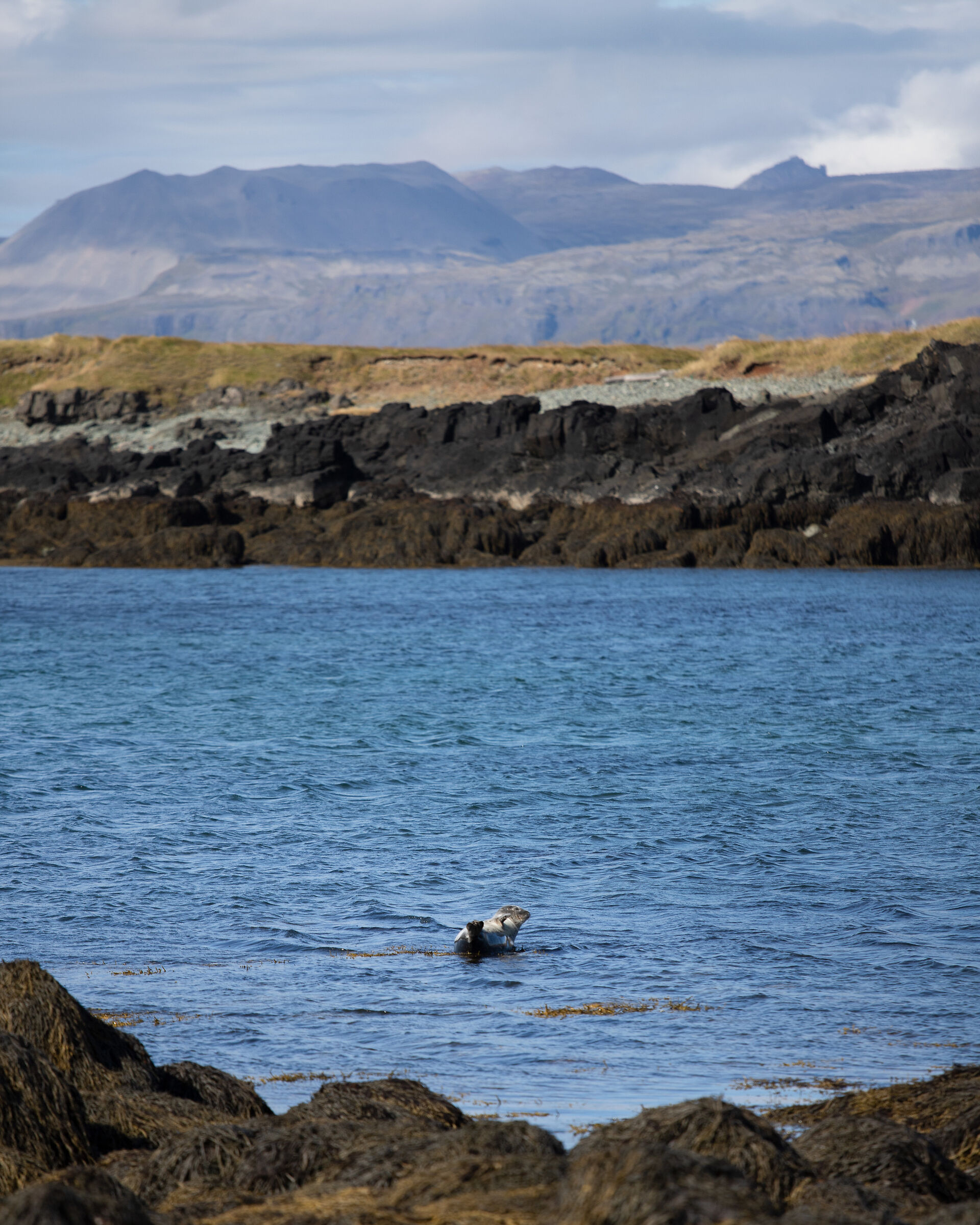 incontri nello Snaefelness