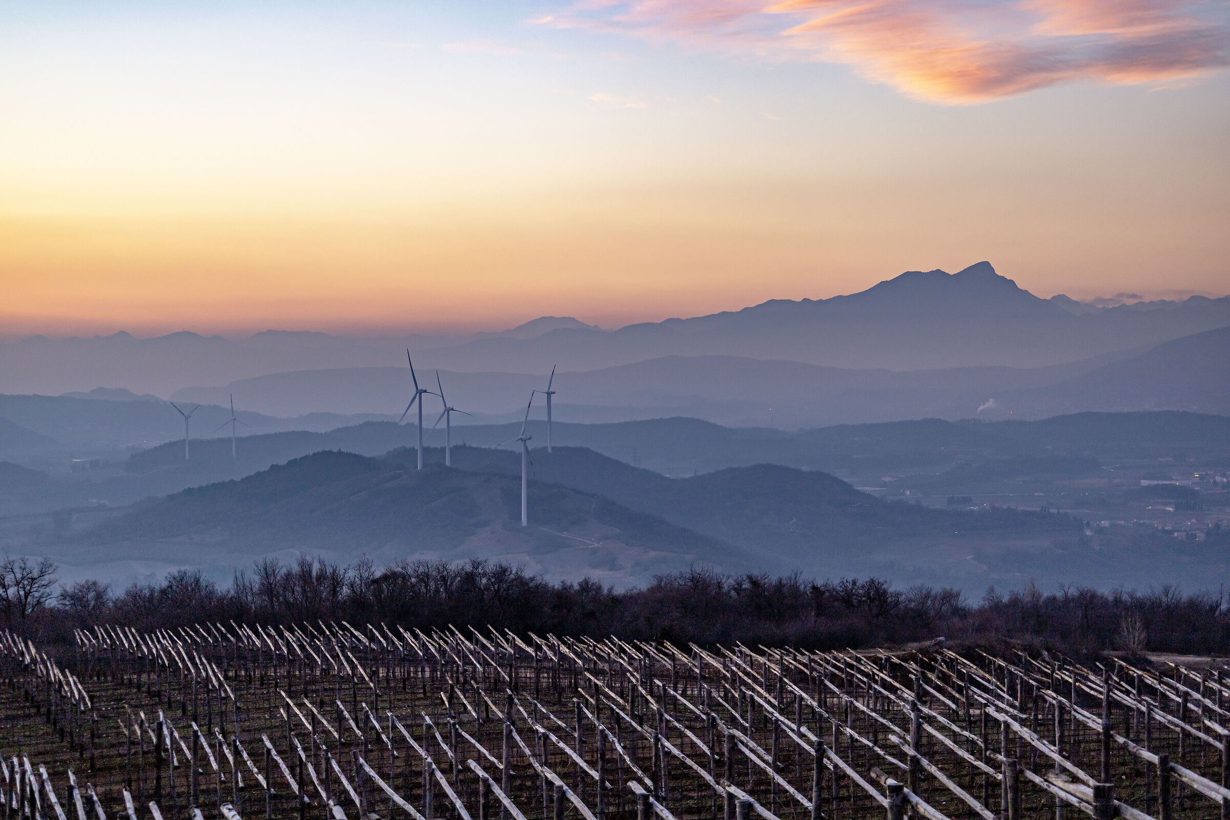 Vigna in legno