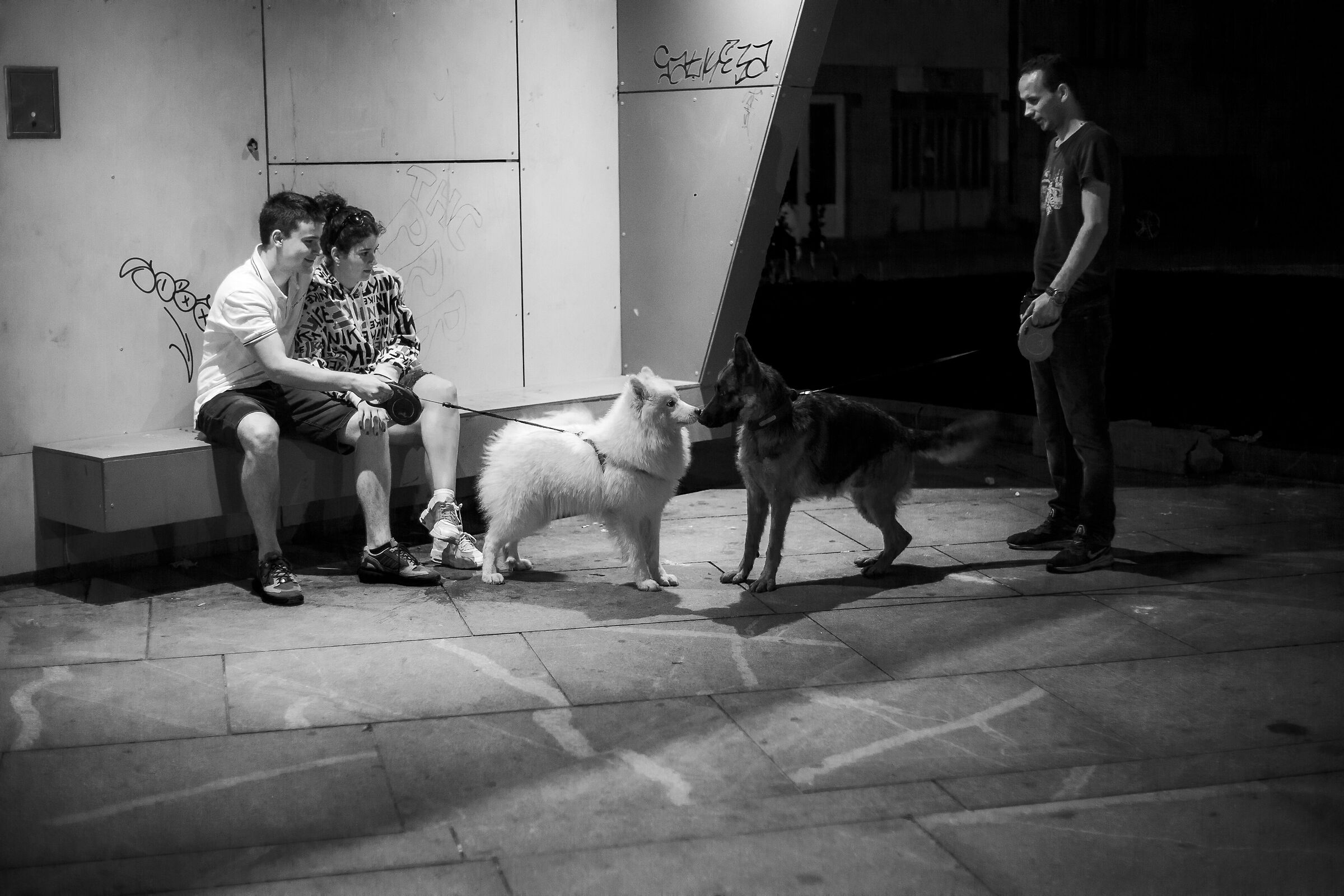 Black.. and White - Sarajevo