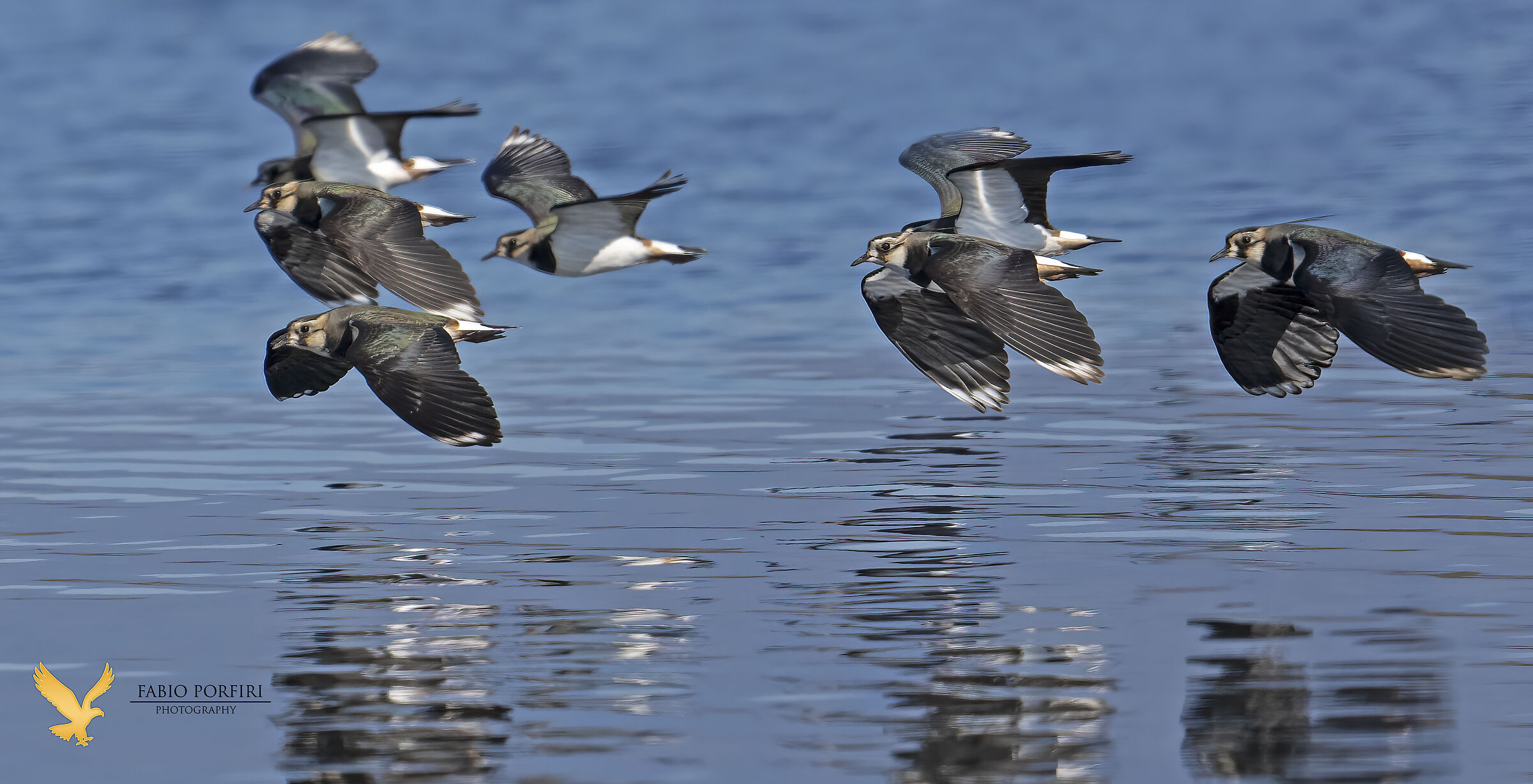 in volo sul lago ...