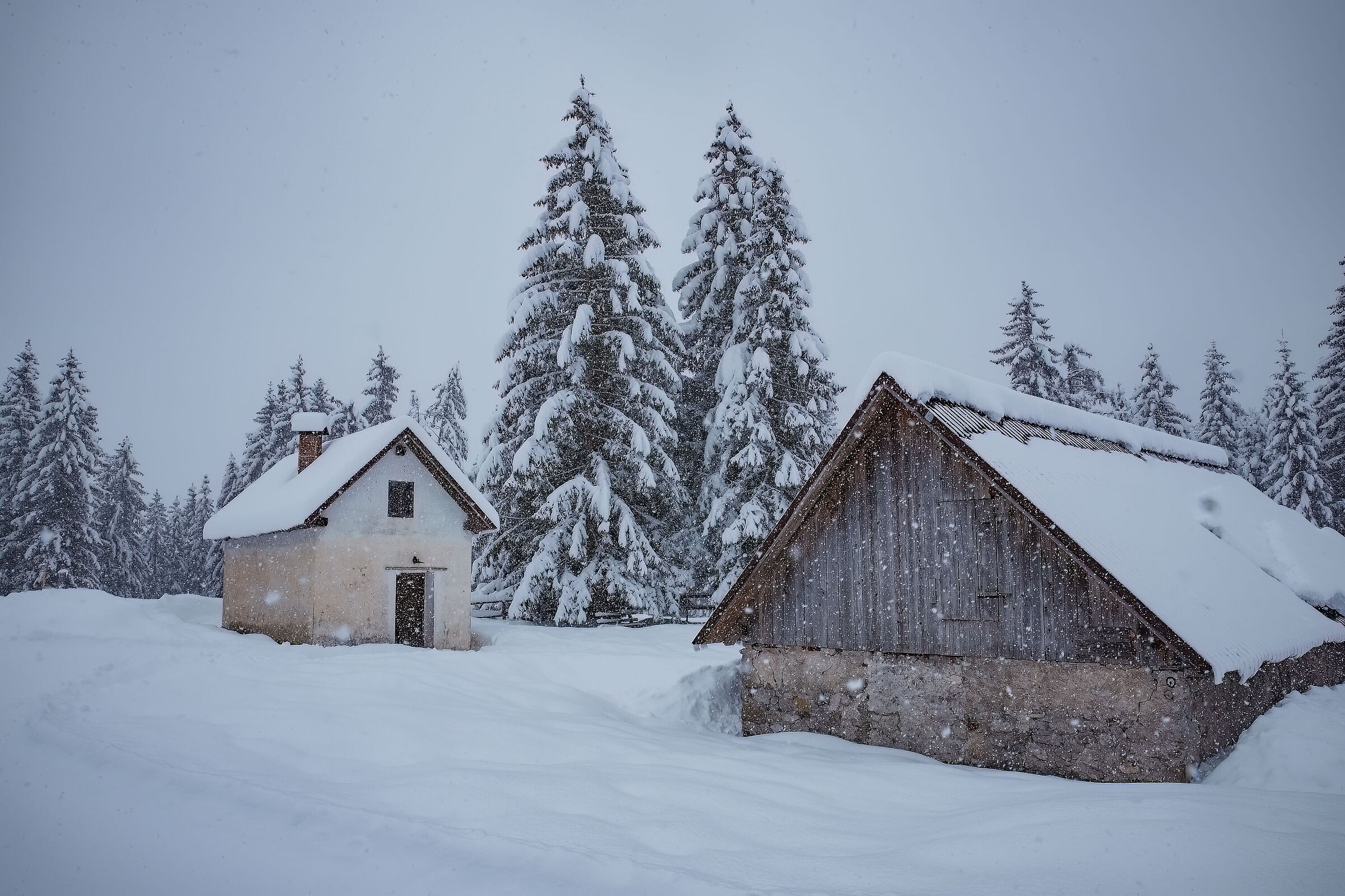 Nevica in val Saisera