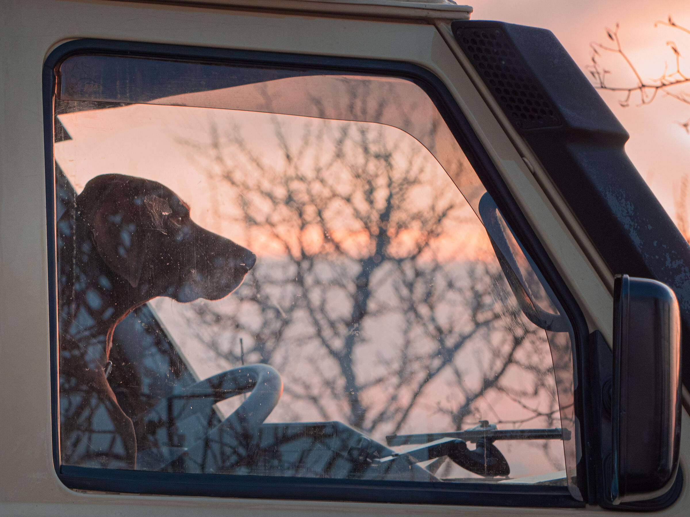 Waiting for the sunset