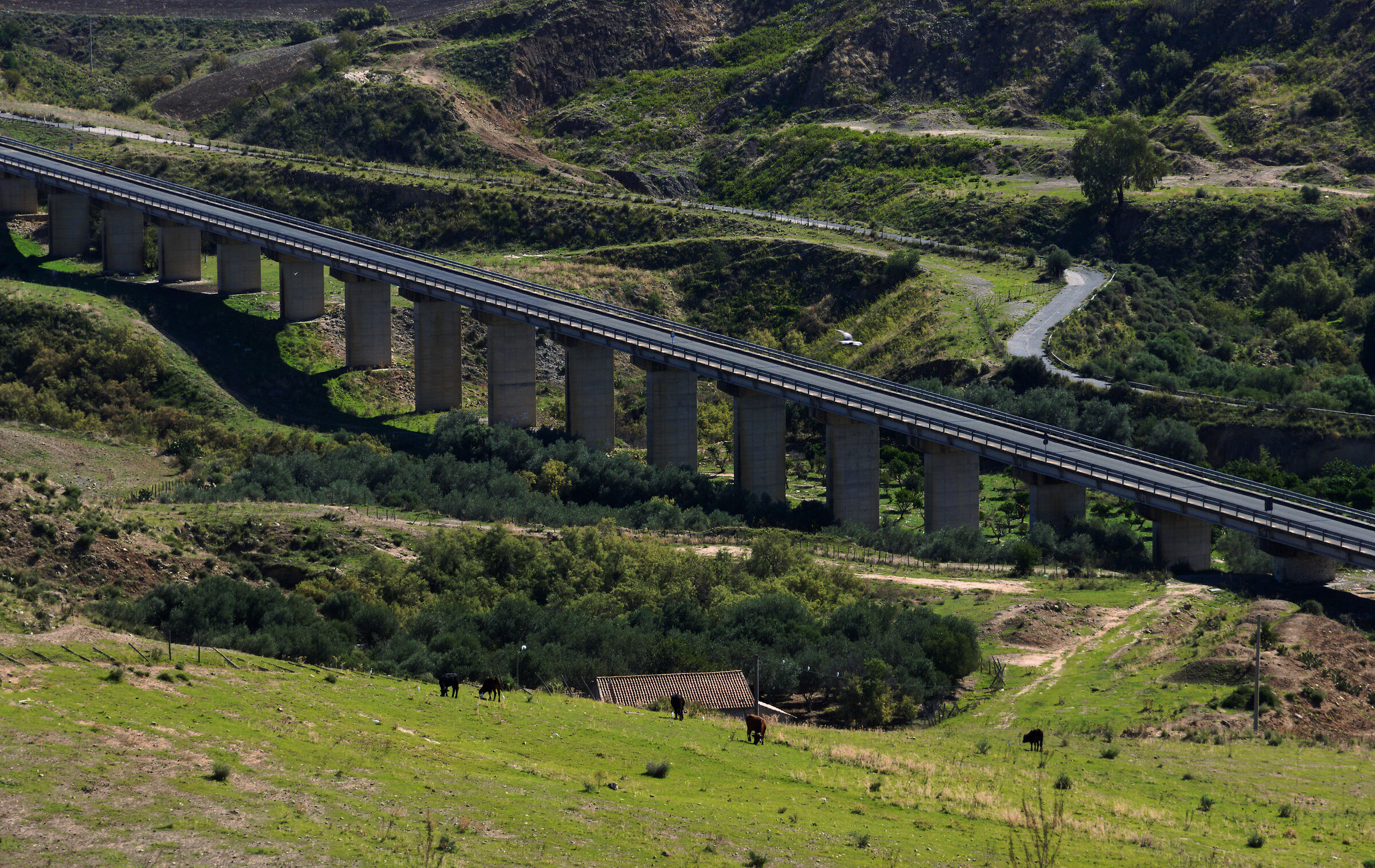 Ponte di Centuripe