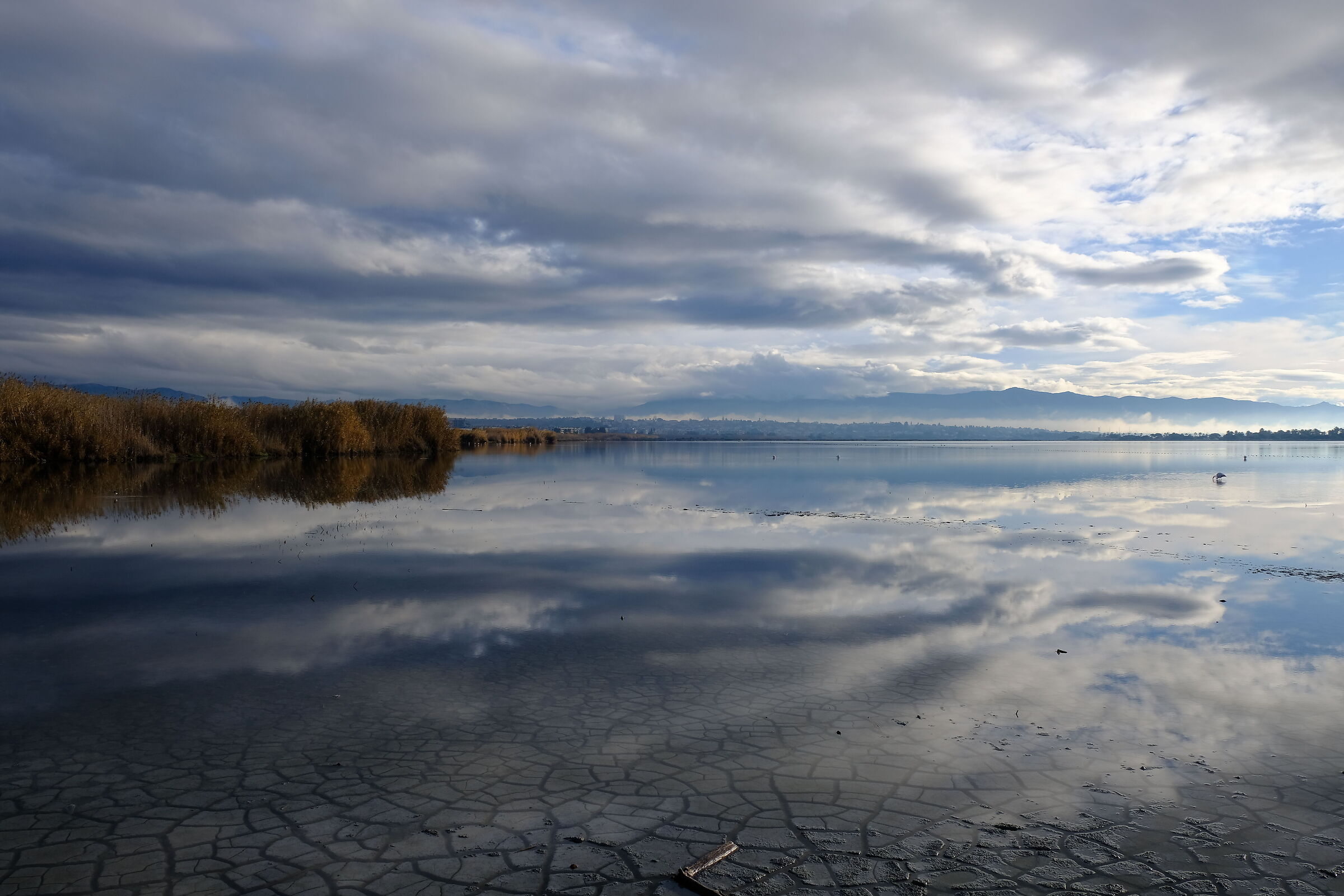 Riflessi sugli stagni