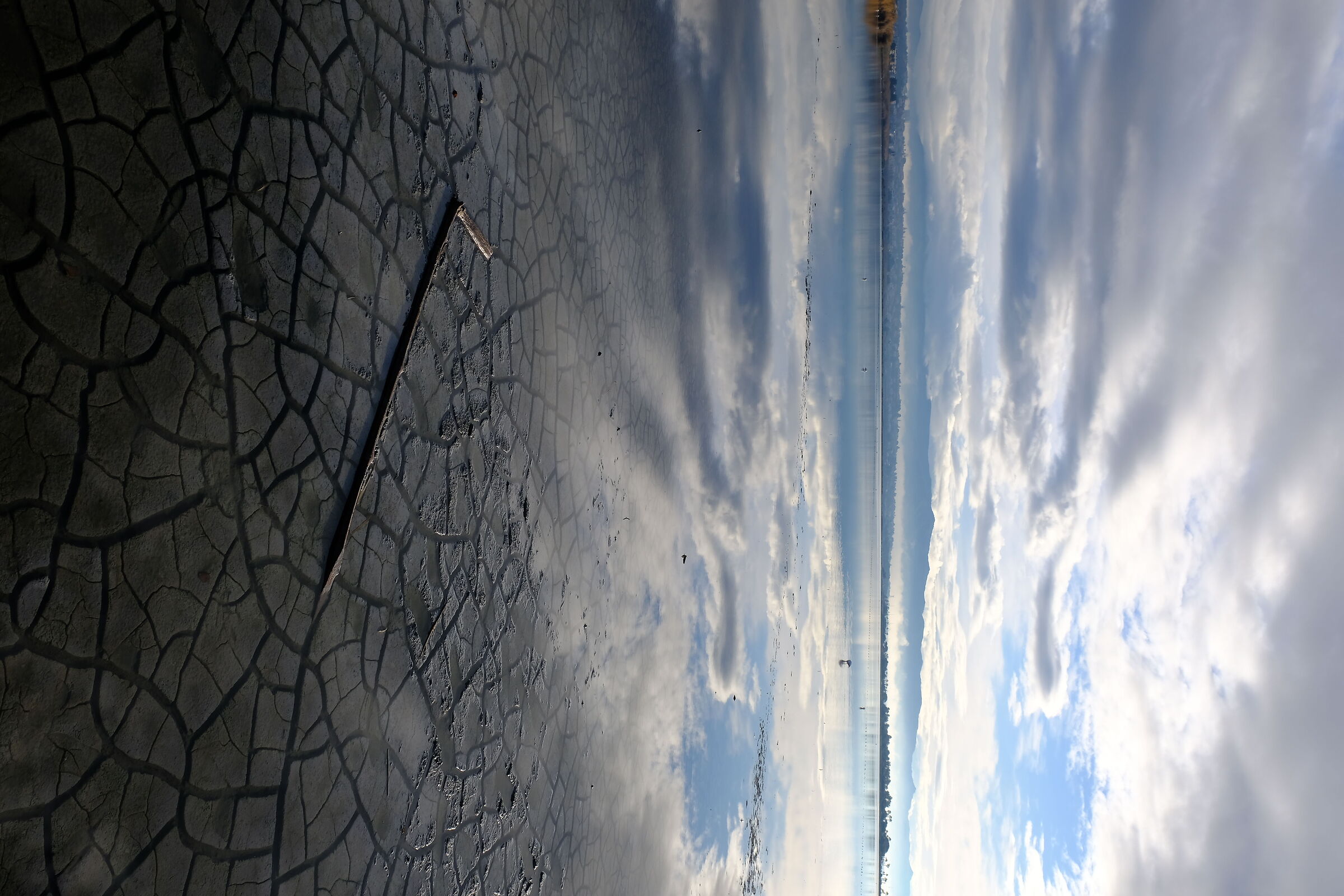 Riflessi sugli stagni 2