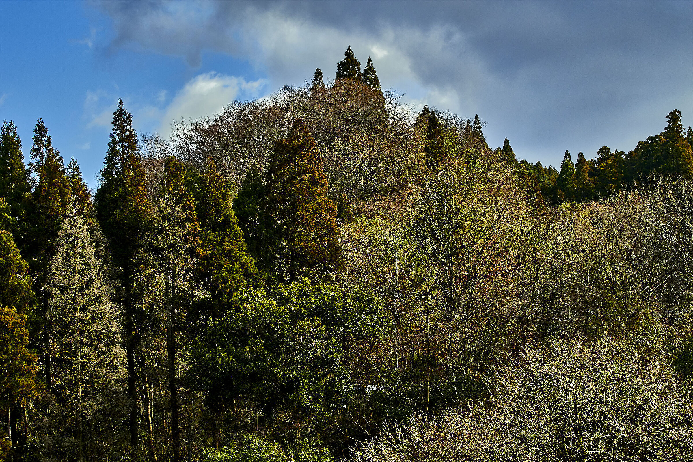 Autumn in Japan