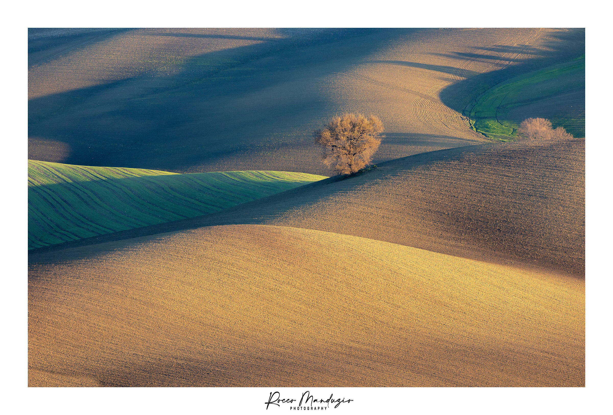 La quercia