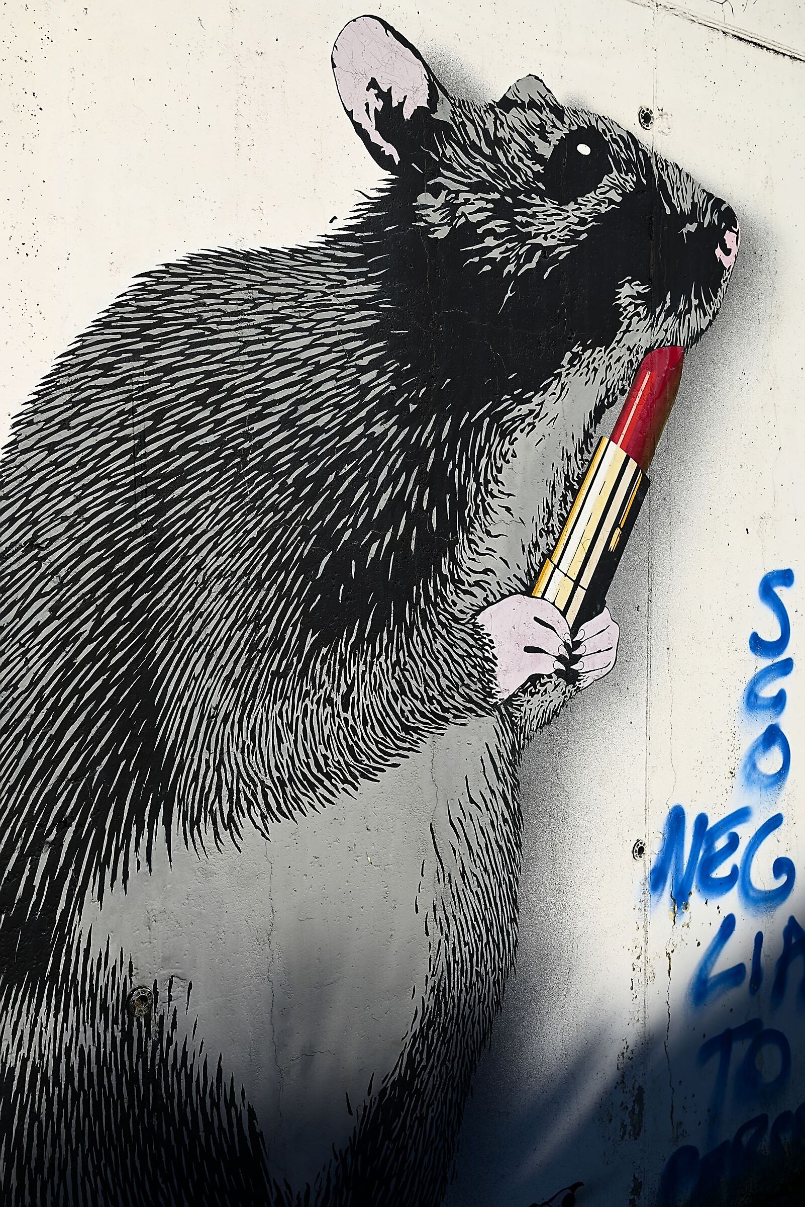 Vanity Mouse