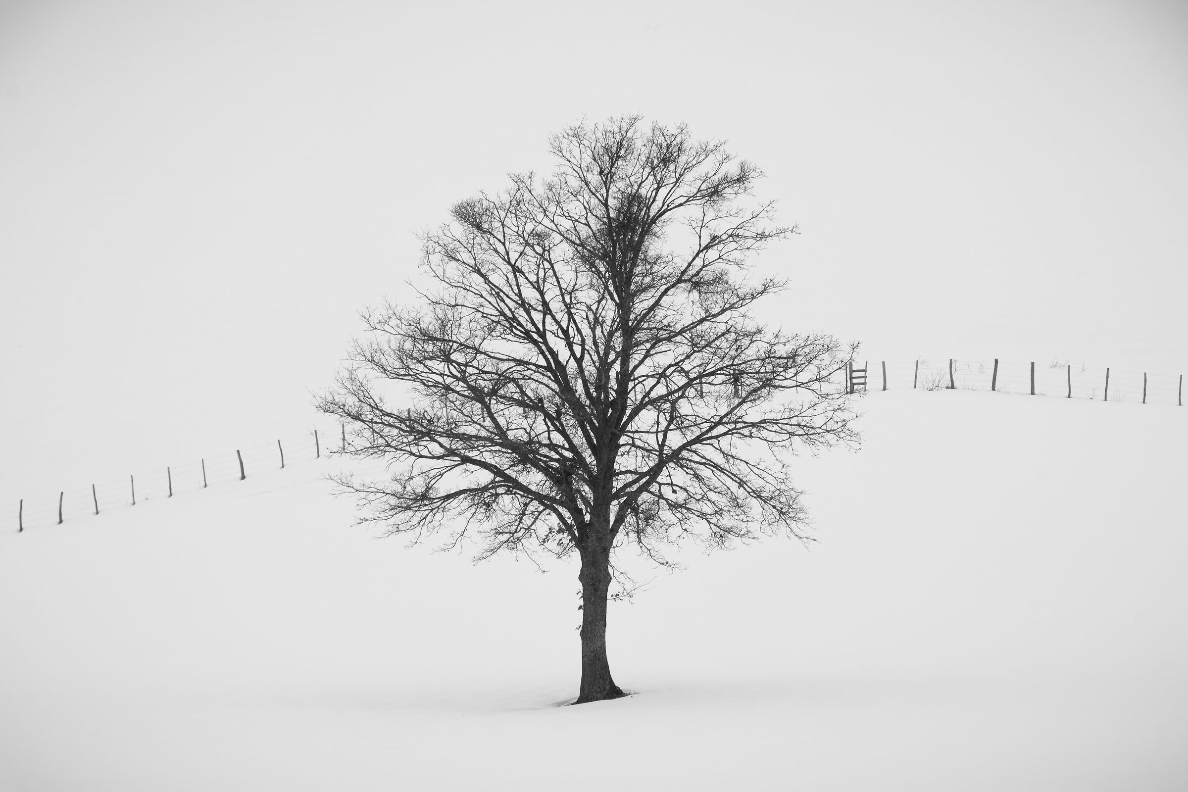 Untitled Photo