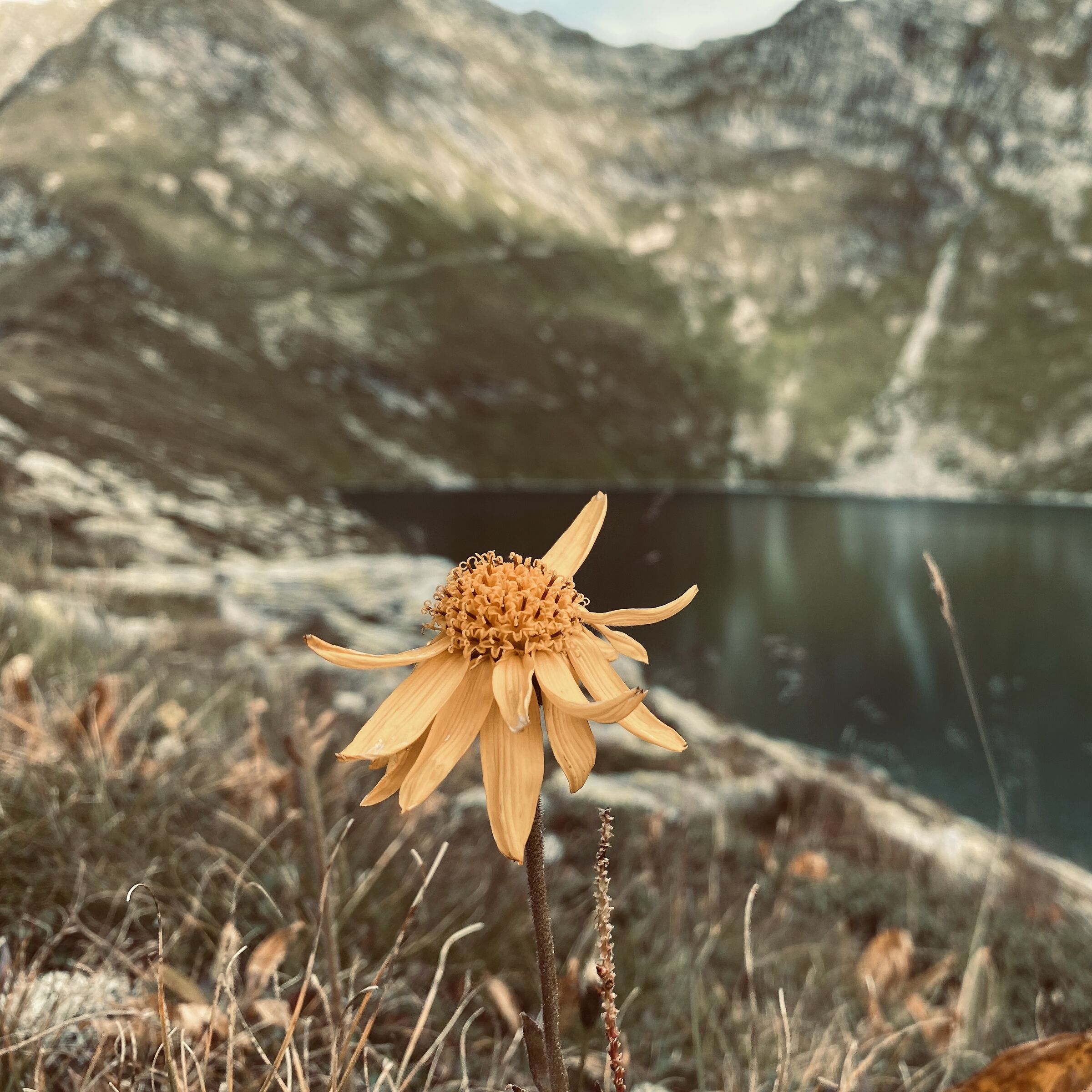 I want to enjoy this view to the last
