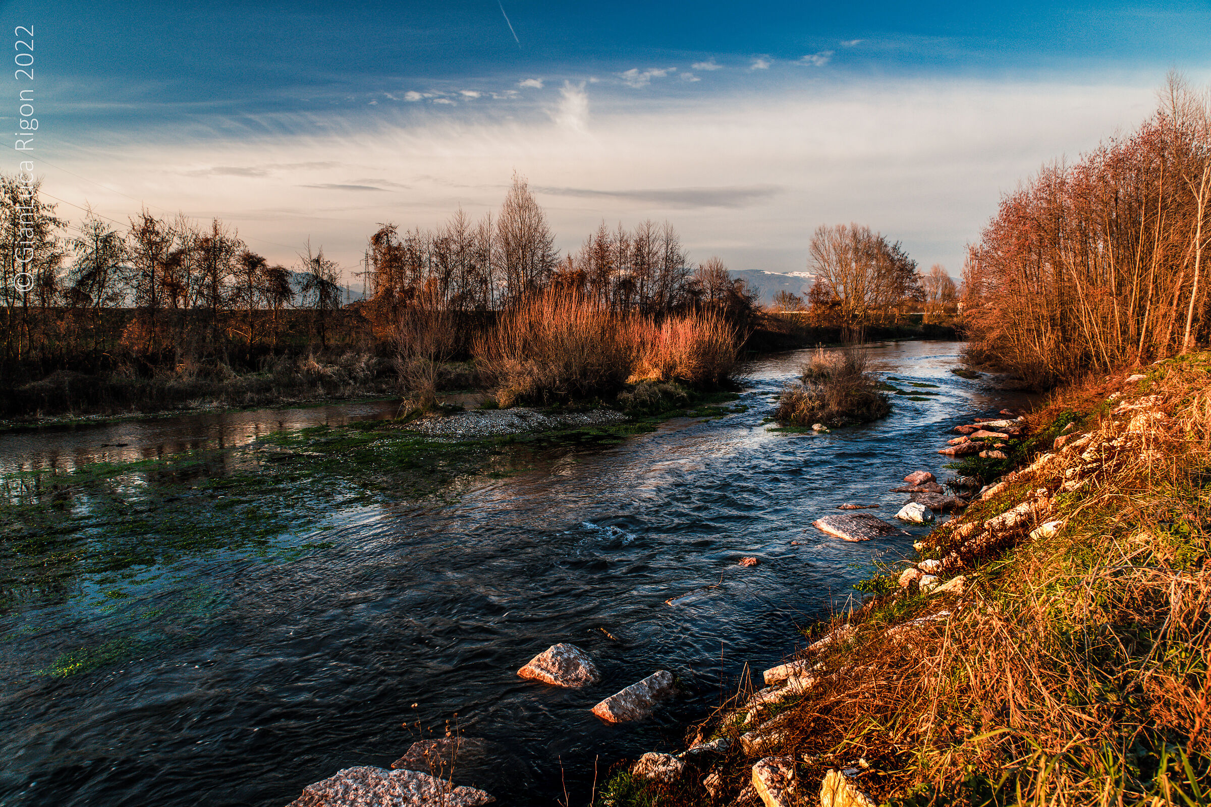 Into the wild....near home !