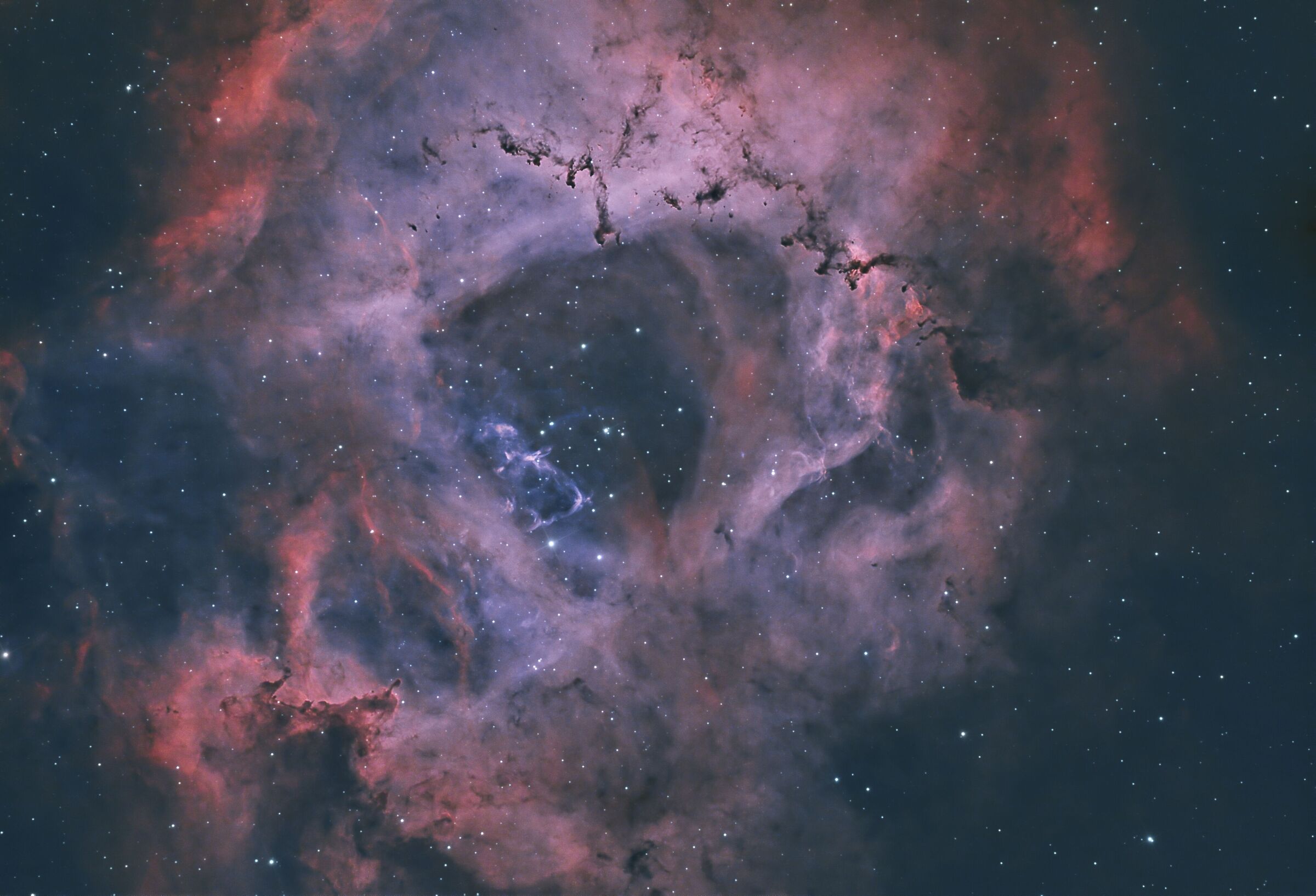Nebulosa Rosetta