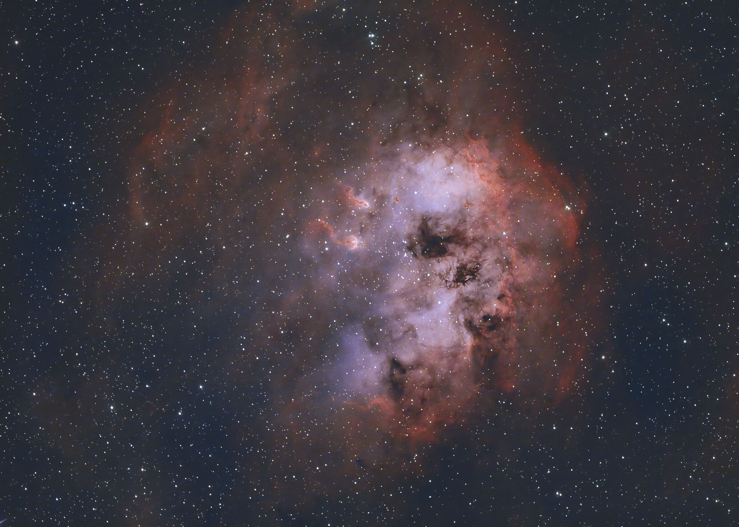 Nebulosa dei Girini