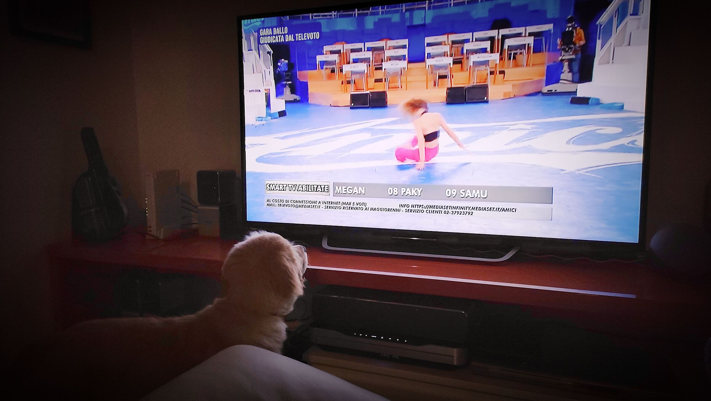 Discovering the ... TV