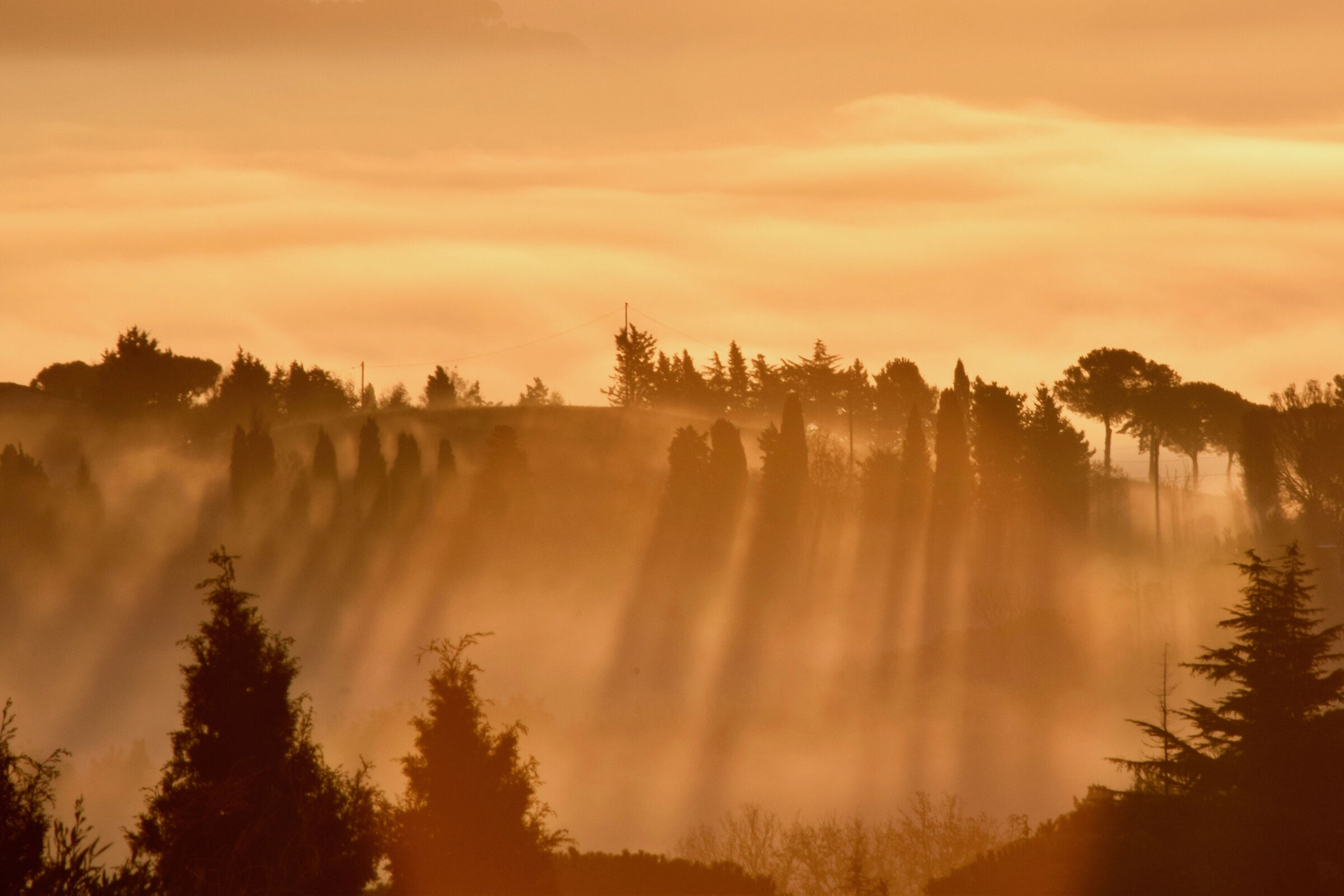 Dawn with golden fingers