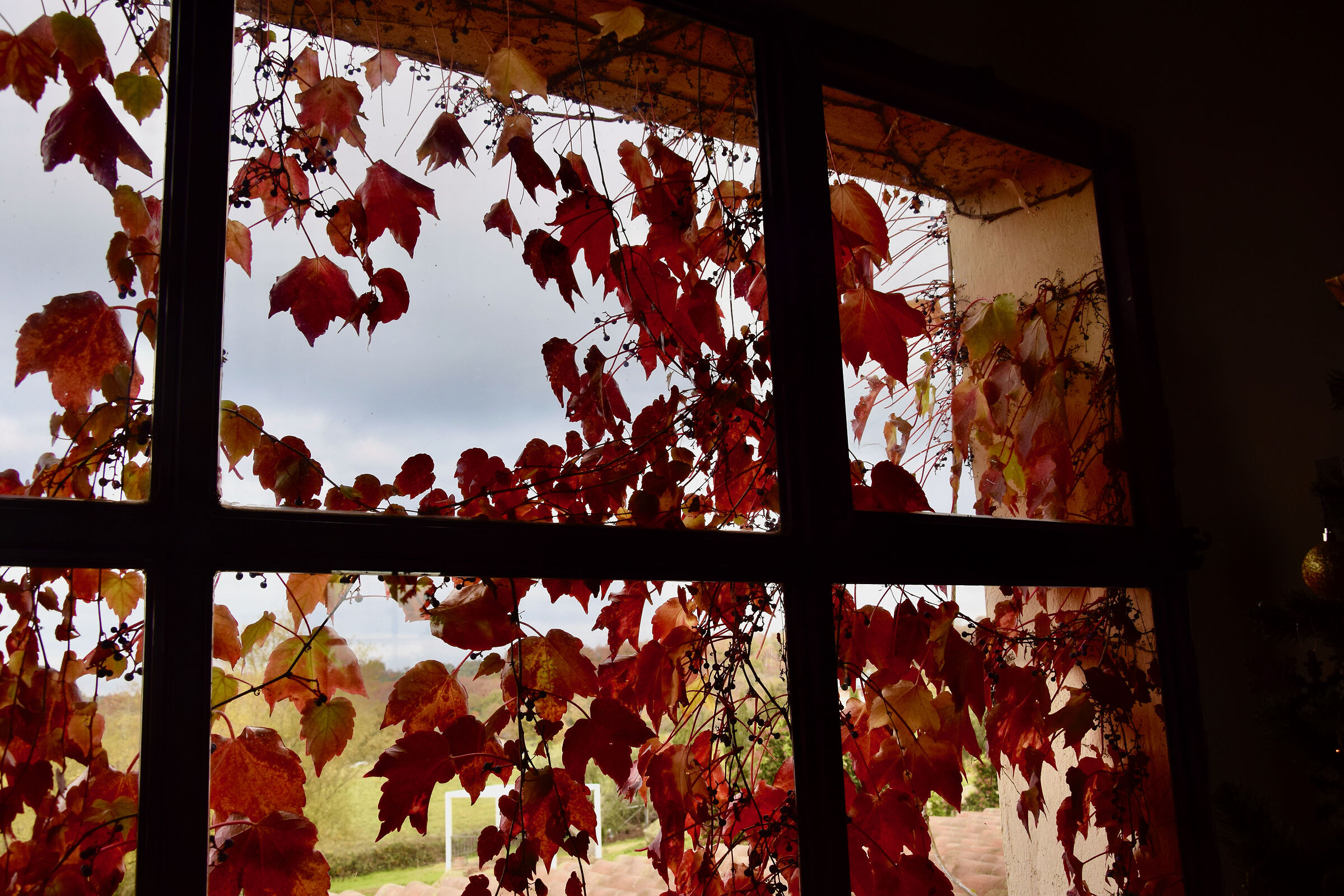 Sguardo sull'autunno