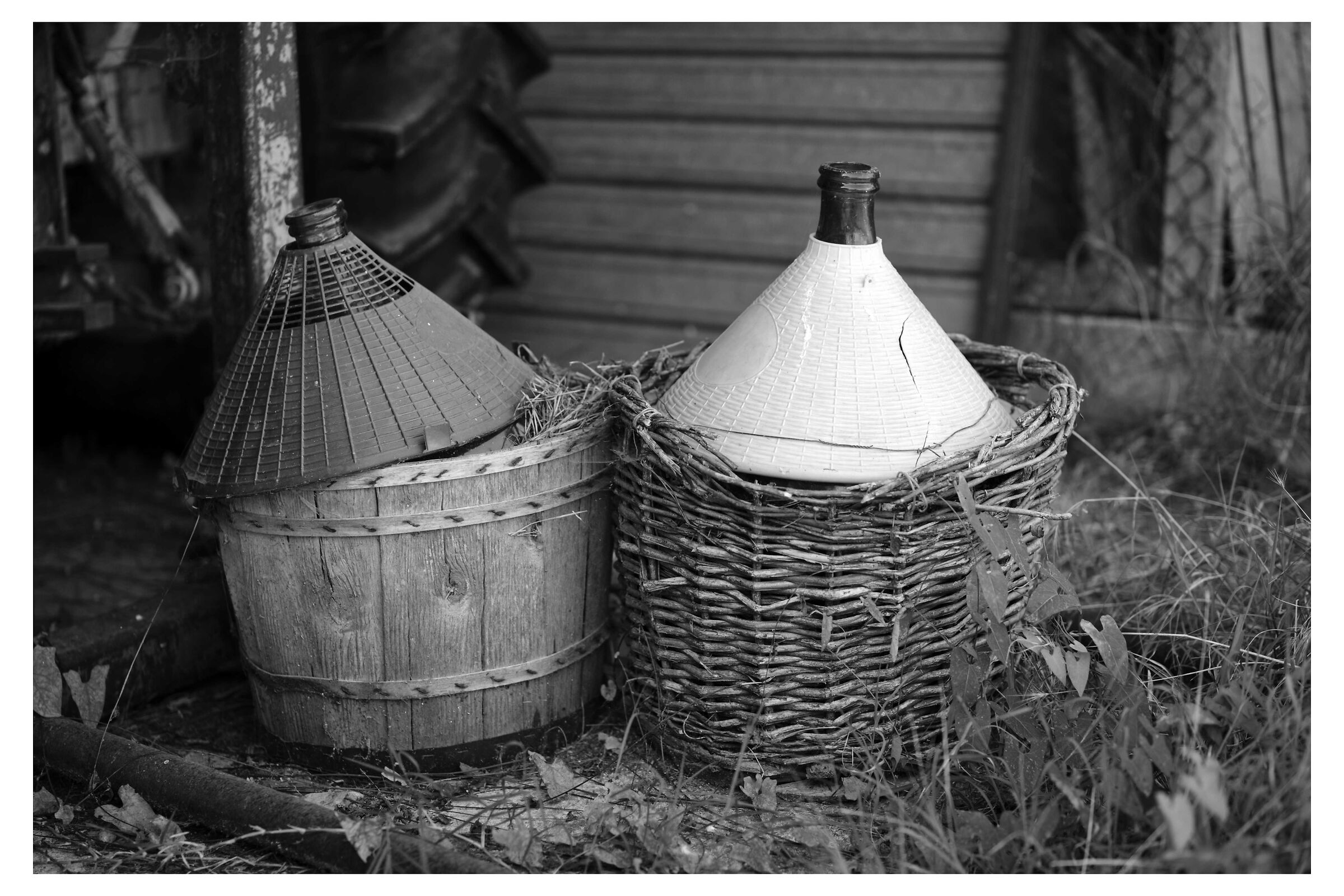 Abbandonate a se stesse.