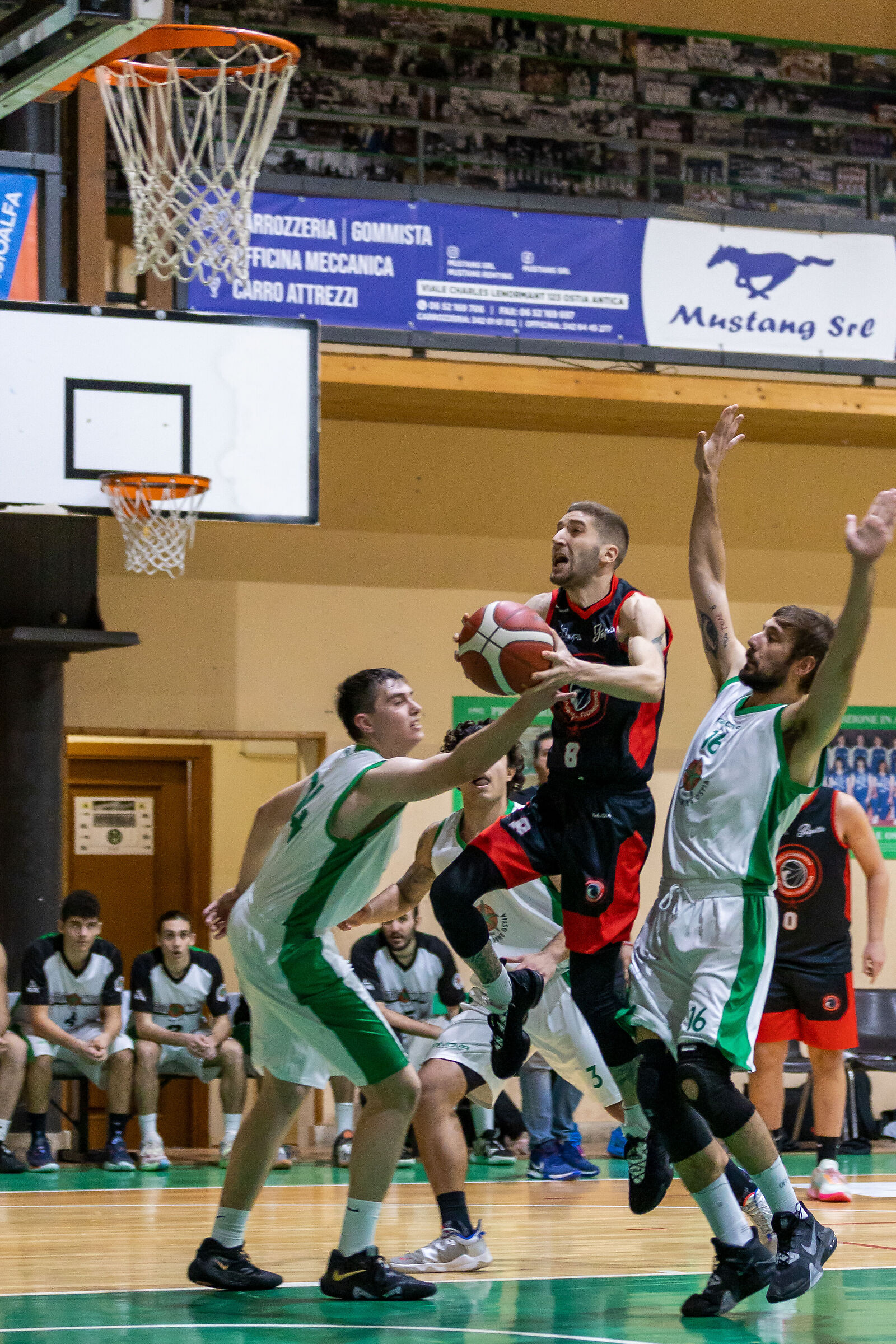 Basket serie C silver