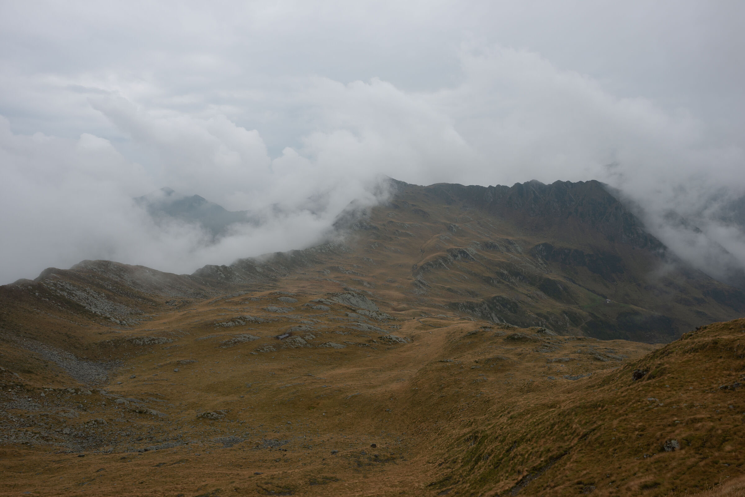 Highlands bergamasche
