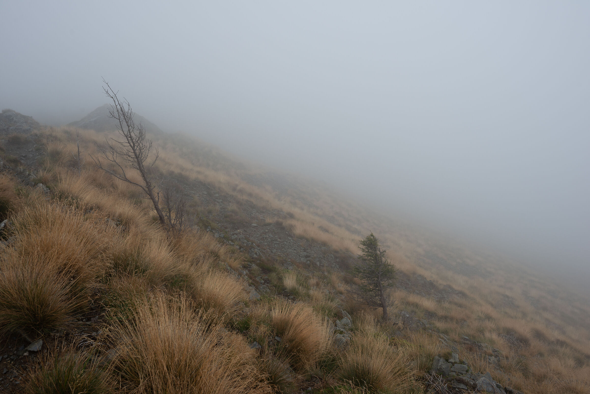 Highlands bergamasche 3