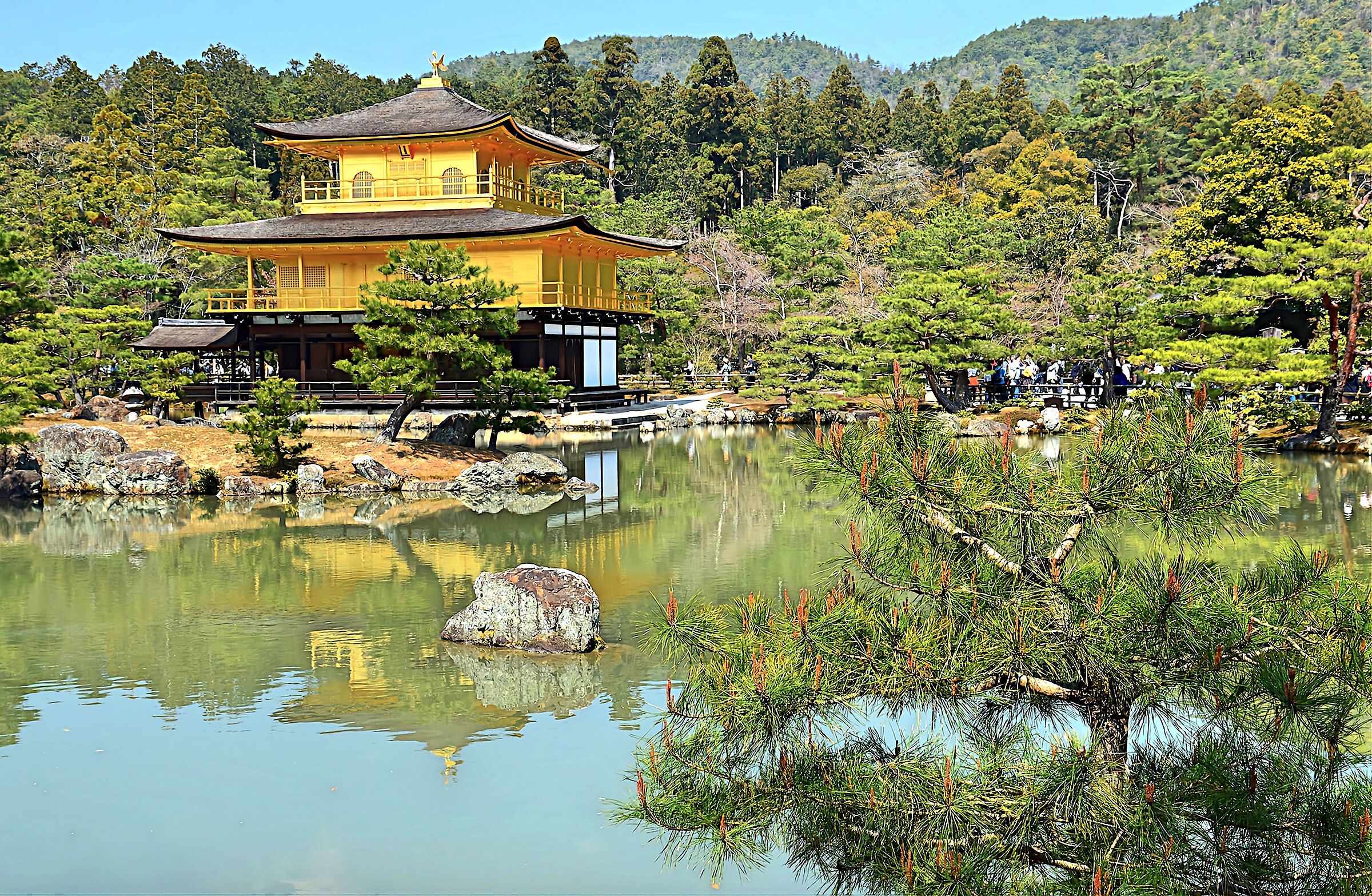 Kinkaku-ji Golden Pavilion