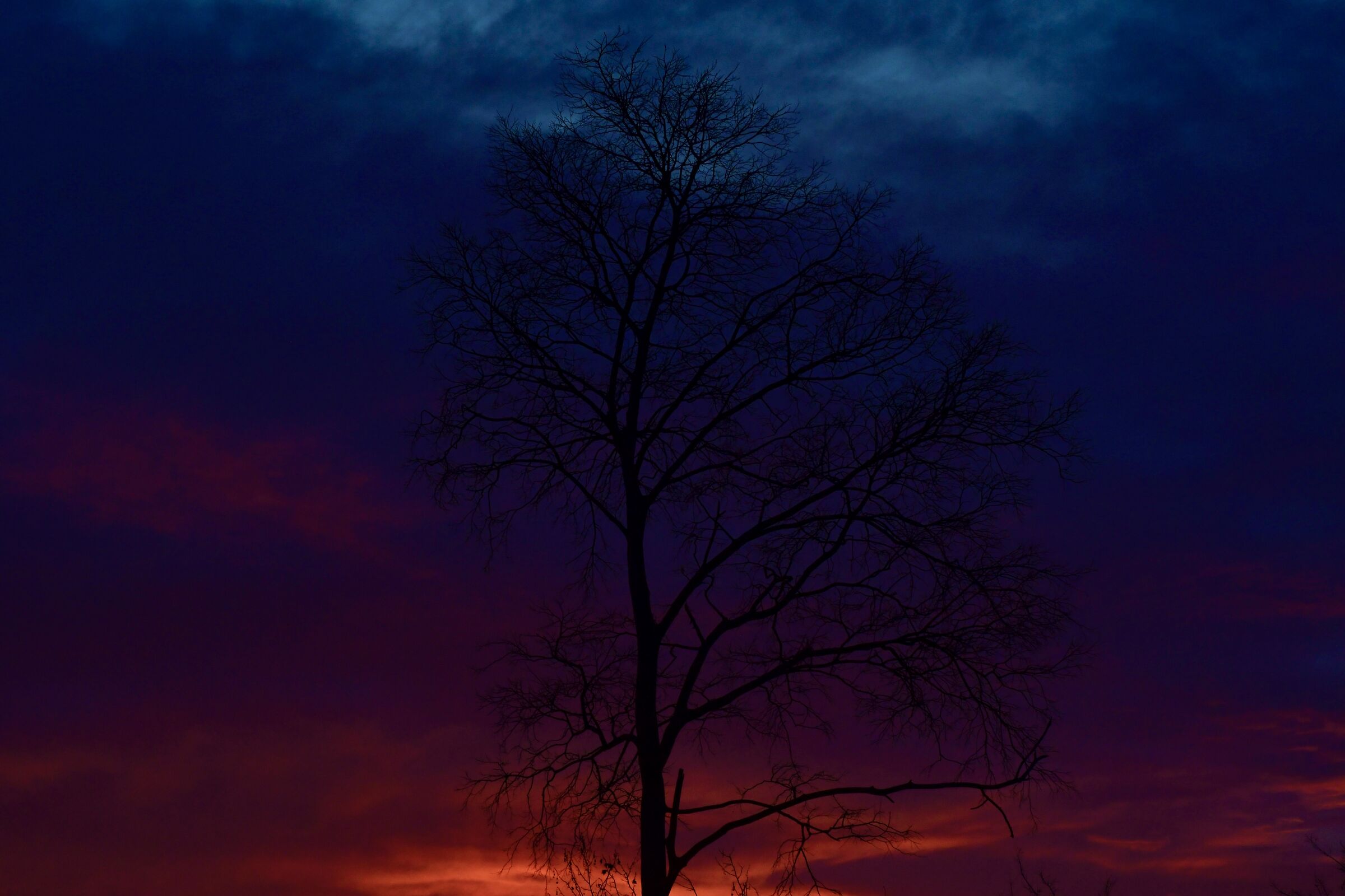 Il colore della sera.