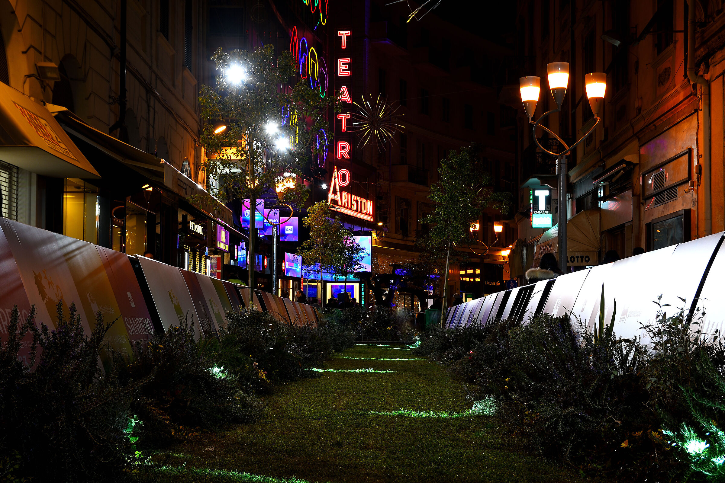 Festival 2023: Green carpet