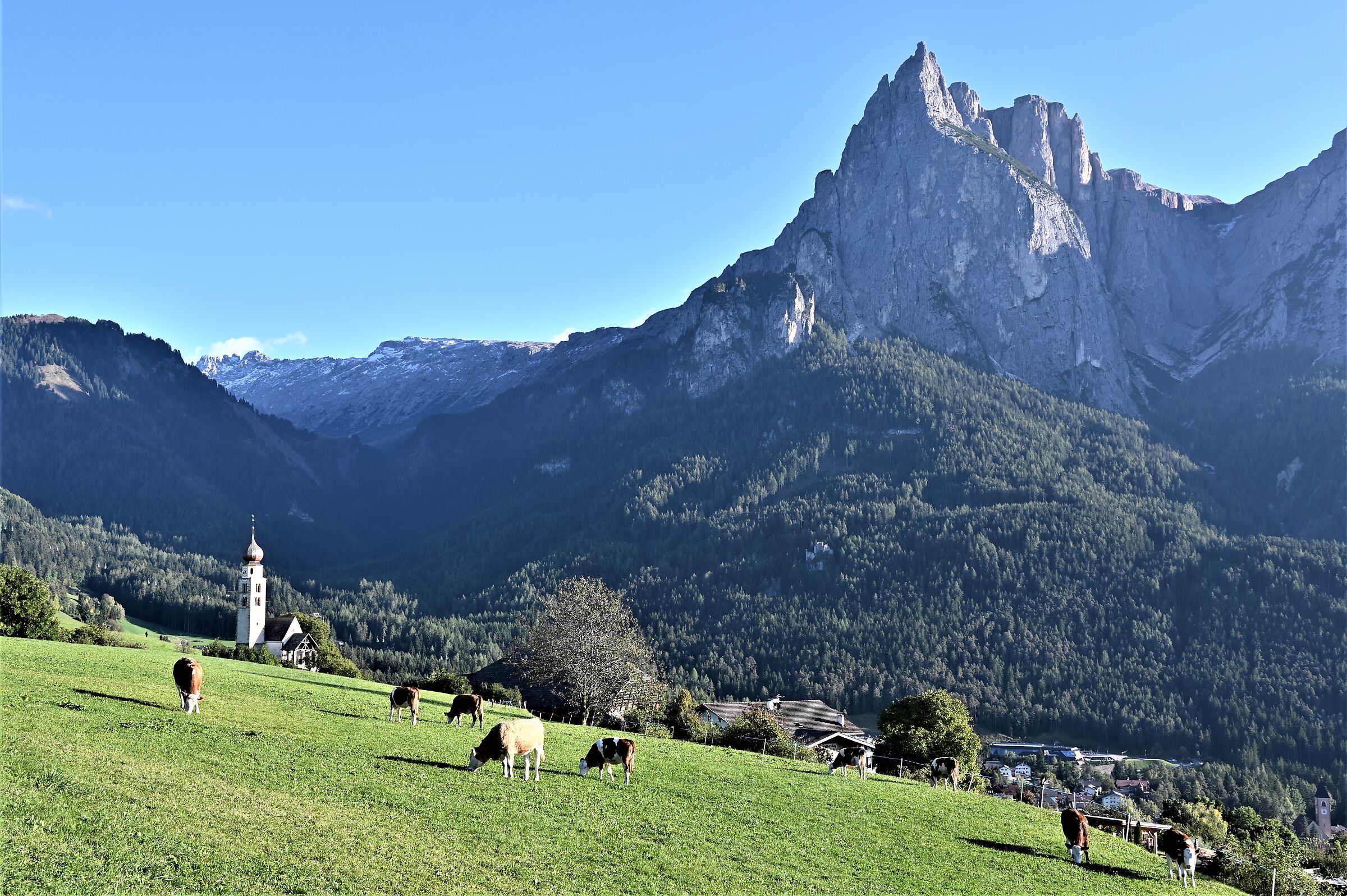 Panorama sotto lalpe di Siusi