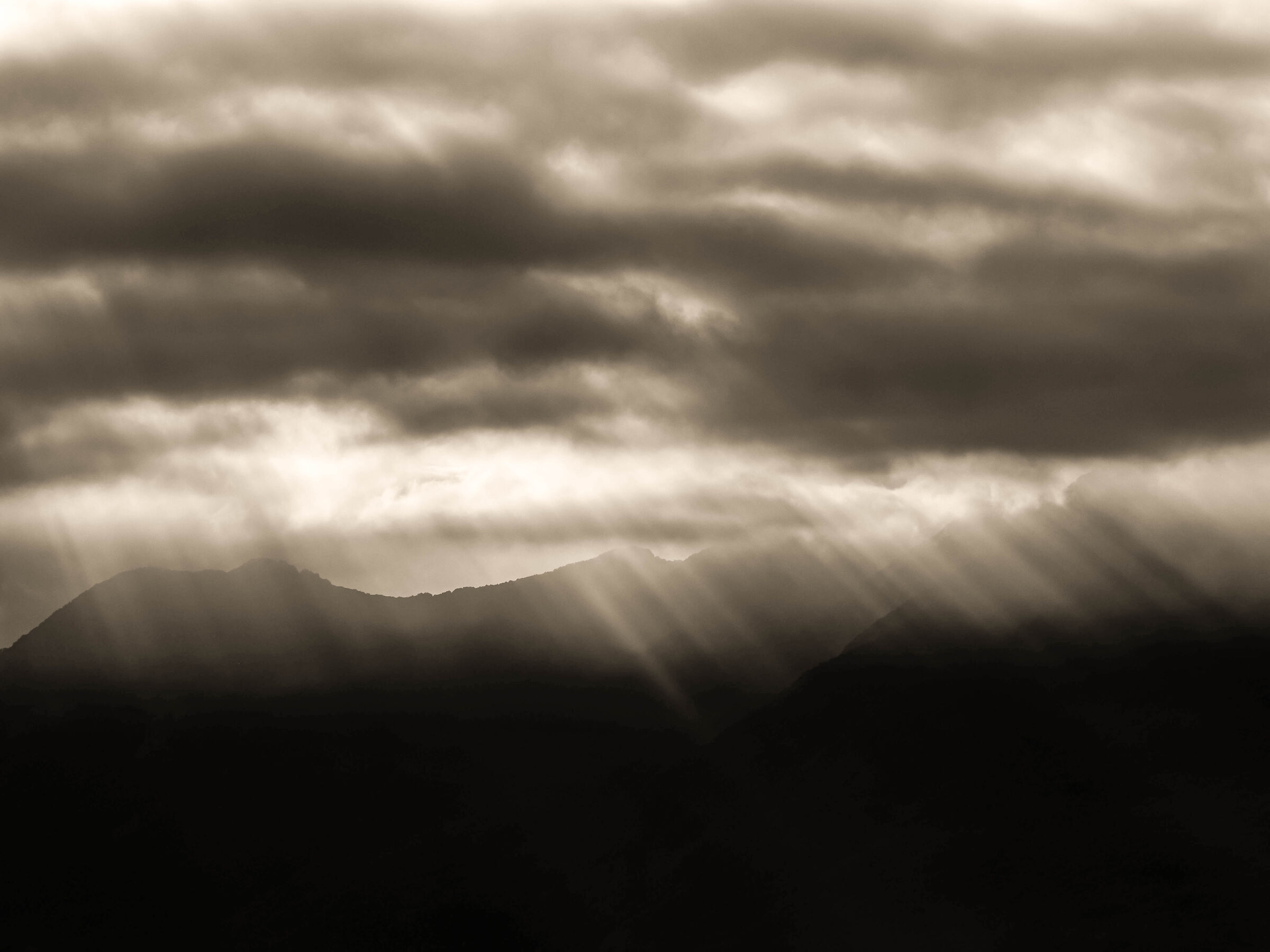 Fog at bristling hills