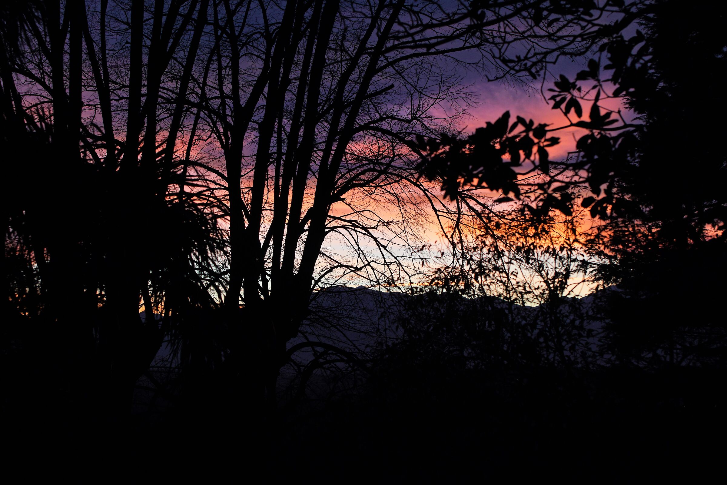 From the bedroom