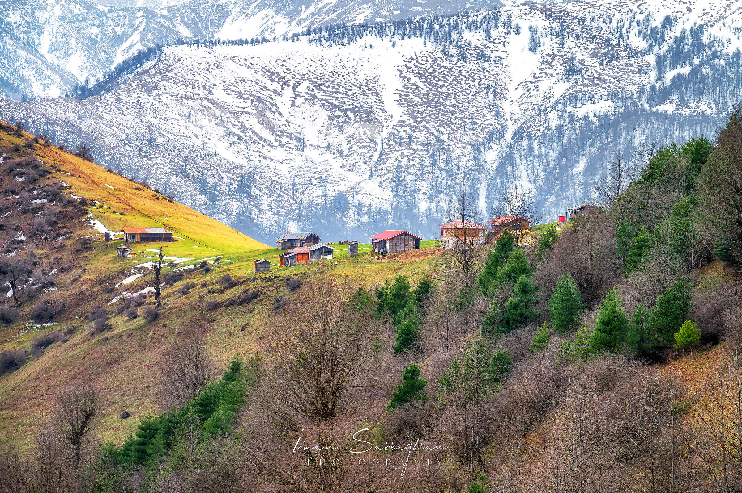 La primavera sta arrivando