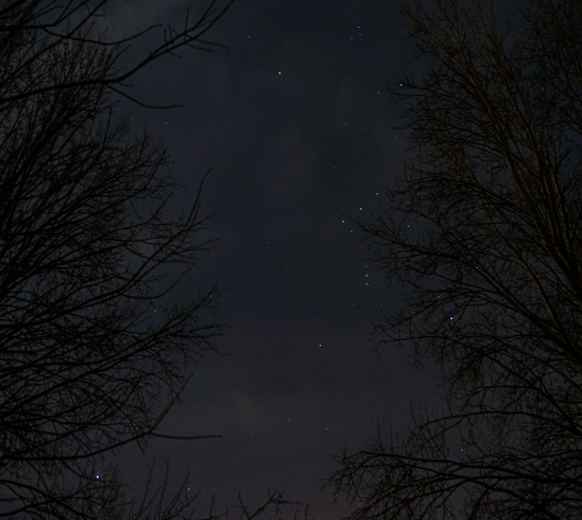 Narrow sky between two trees