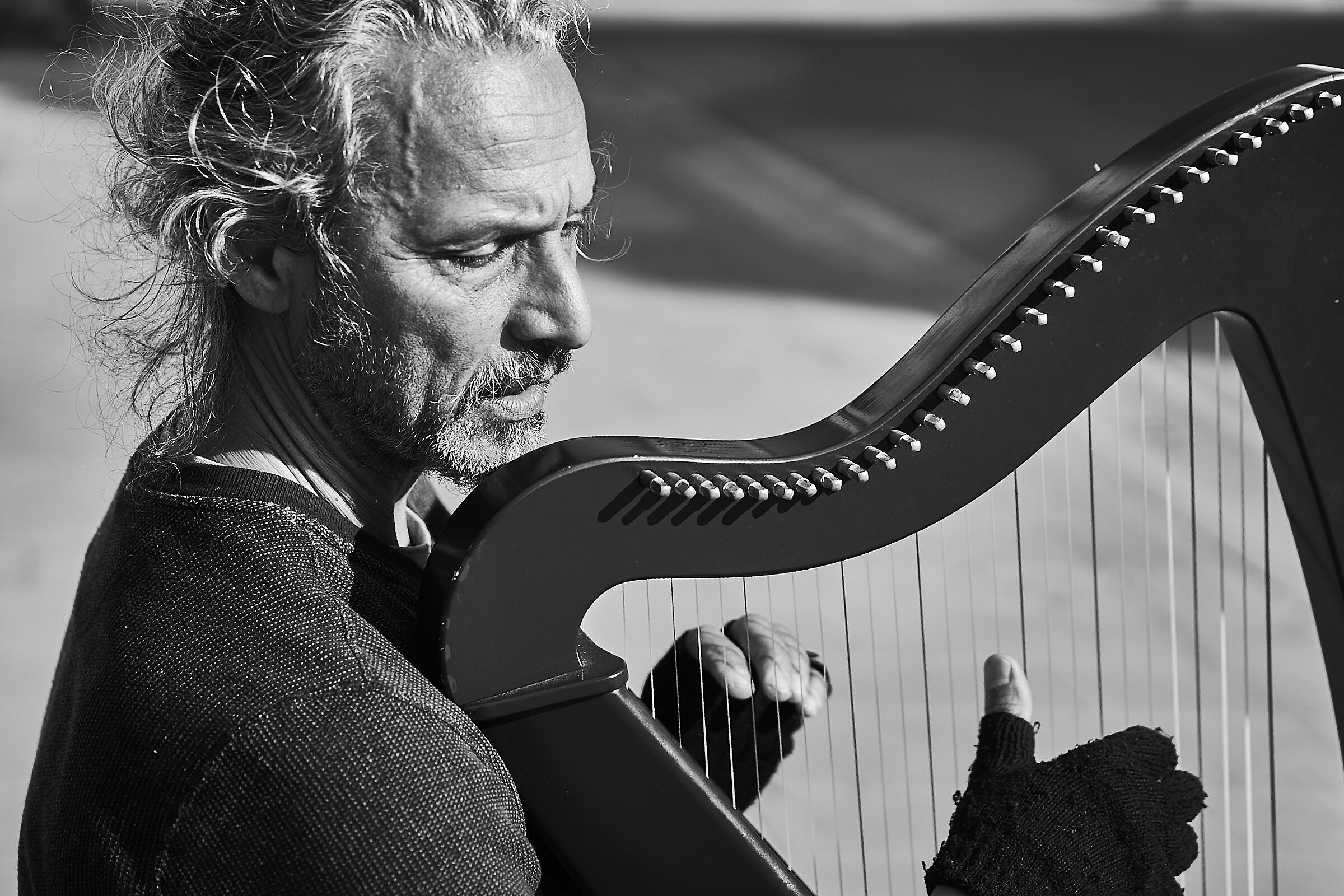 Arpista di arpa celtica