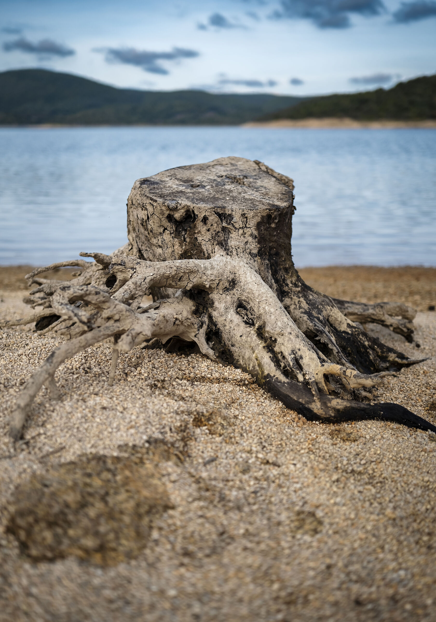 Il lago si ritira e scopre una spiaggia d'aride cose