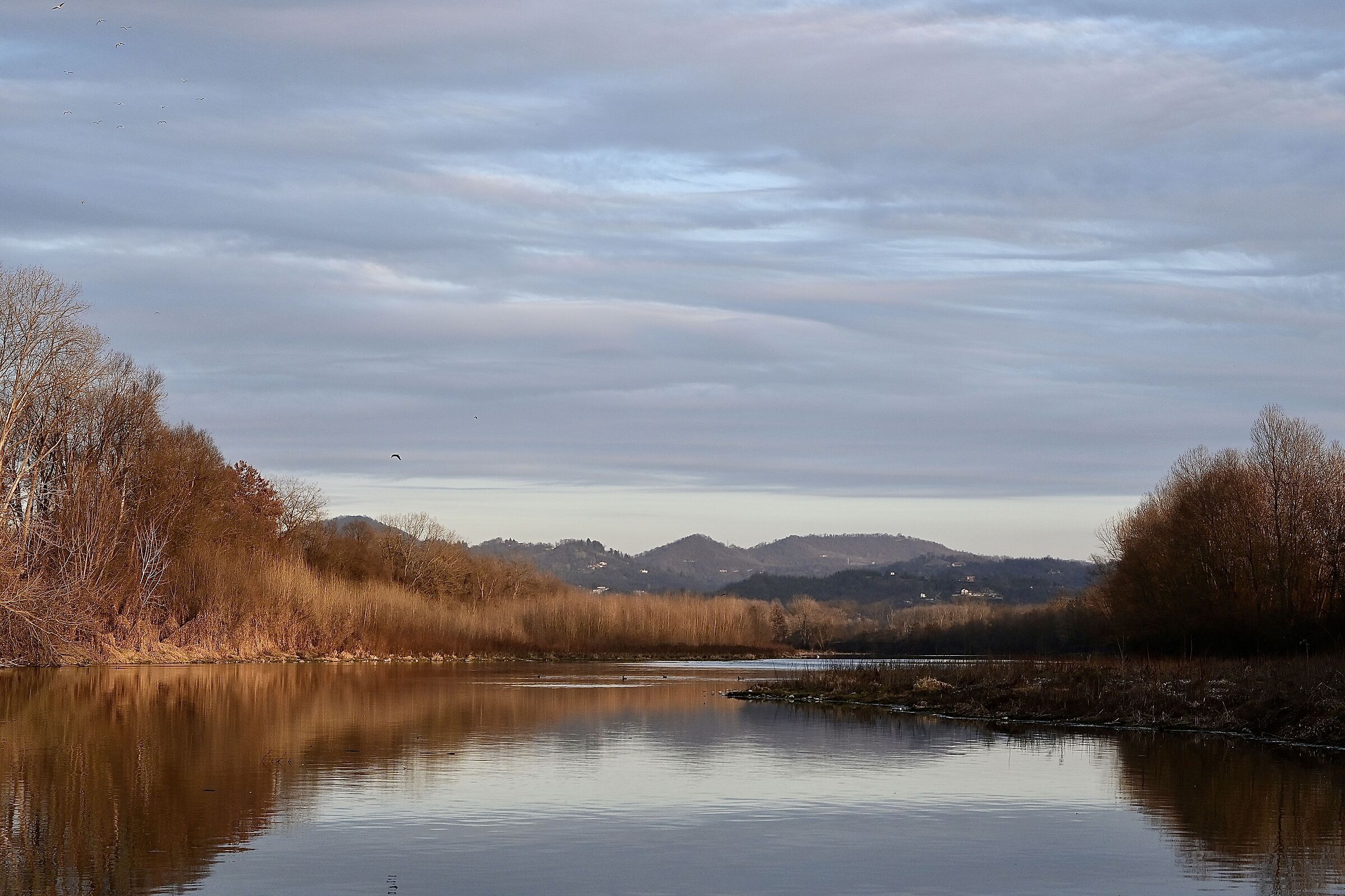 Il Po a Settimo Torinese
