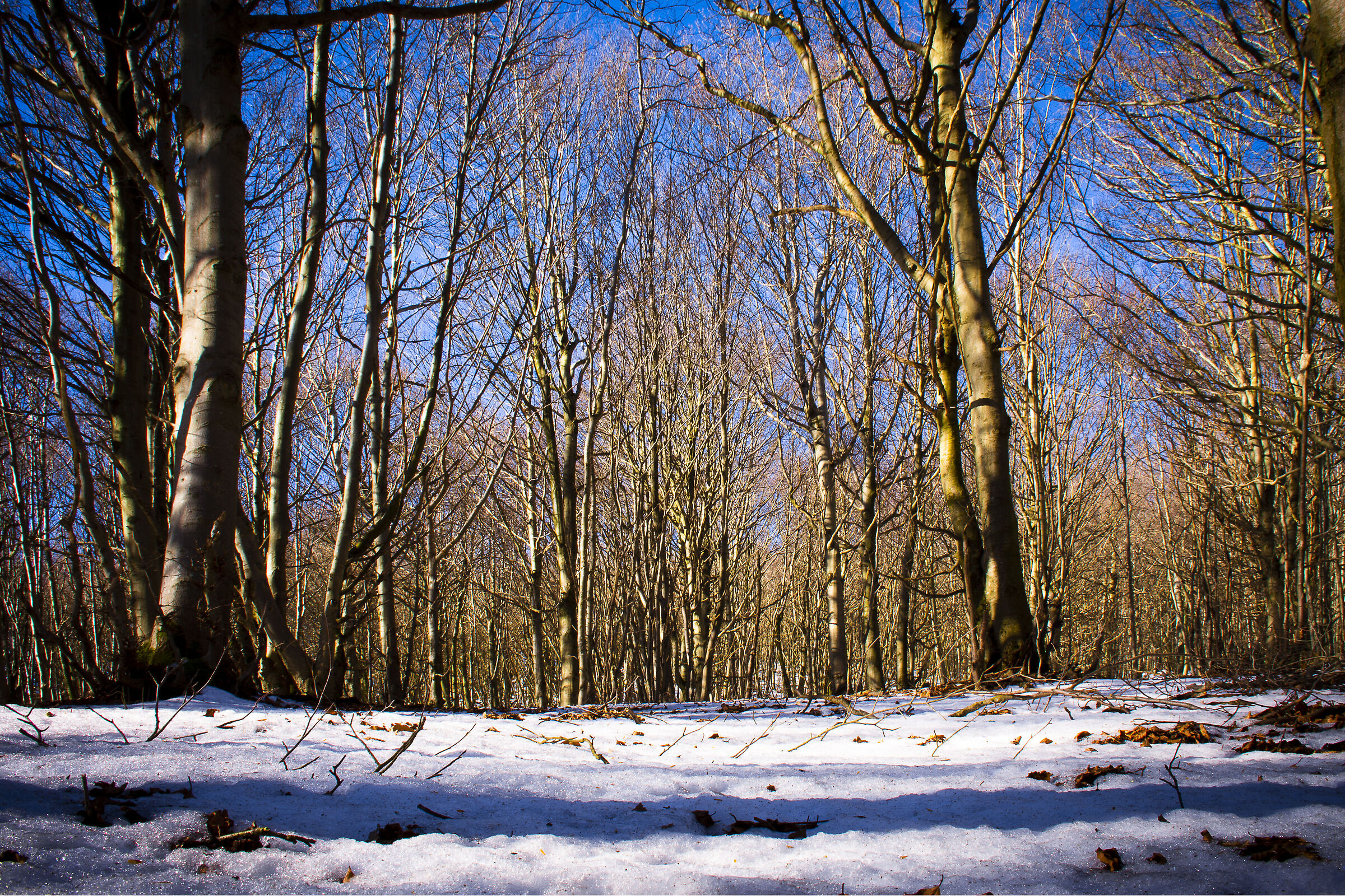 The last snow on the Begua