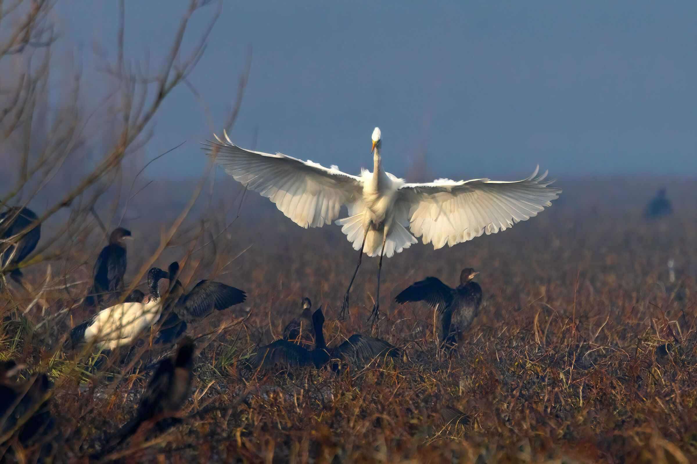 Incontri nel Parco del Mincio (mn)