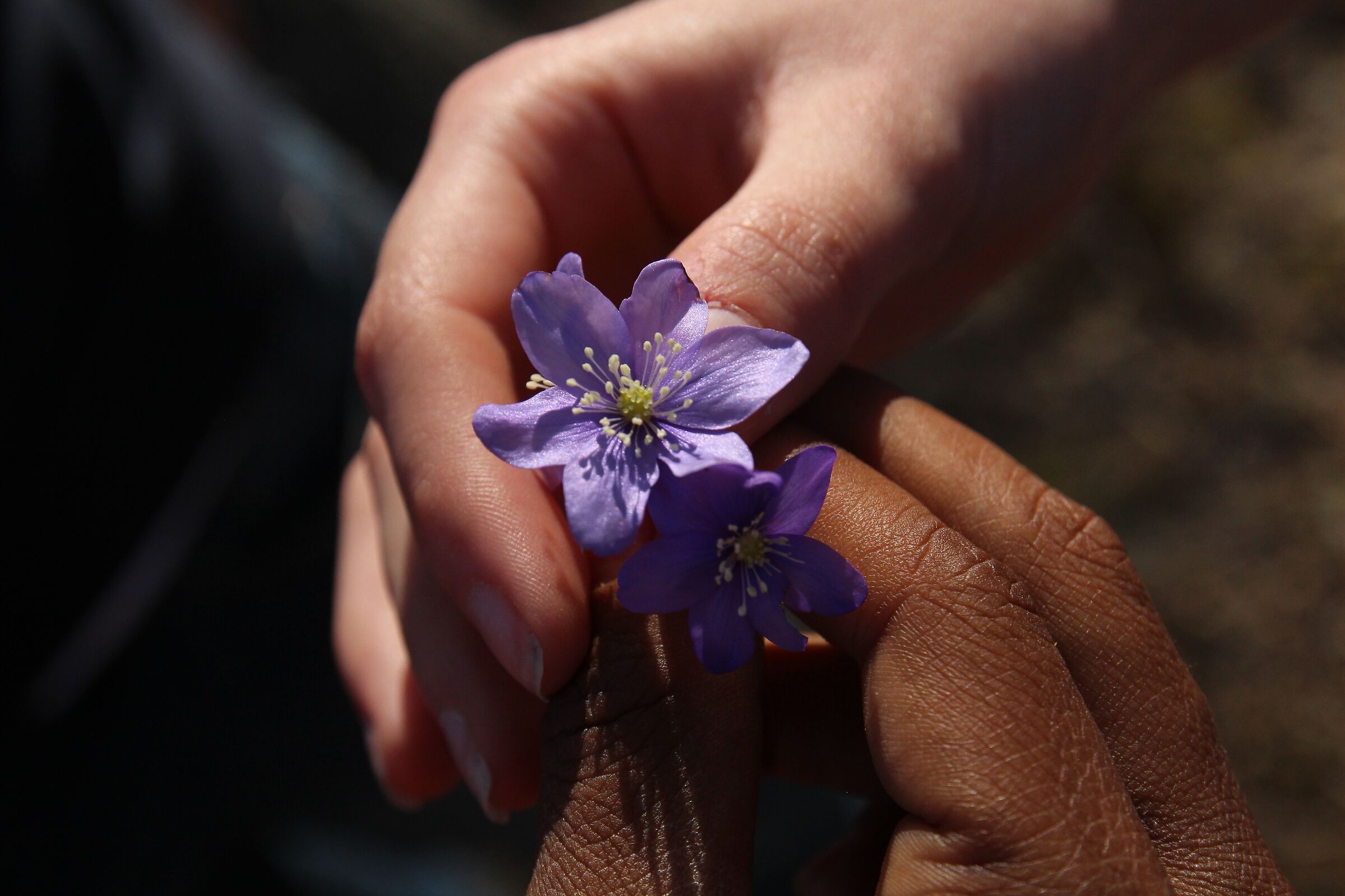 SPRING AS A GIFT.
