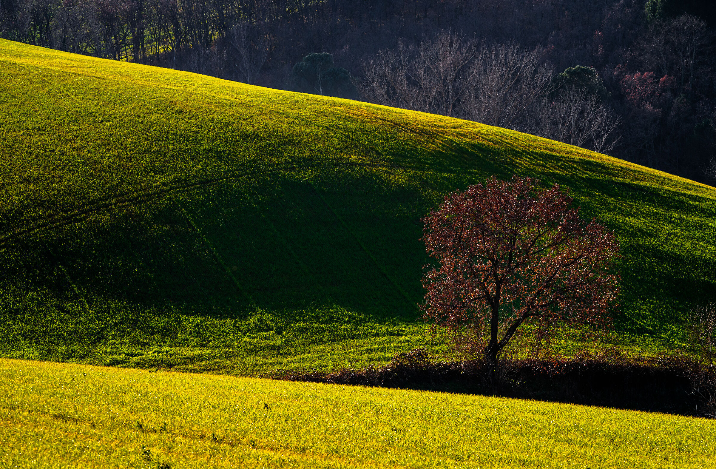 " The Earth and the caress of the Light "