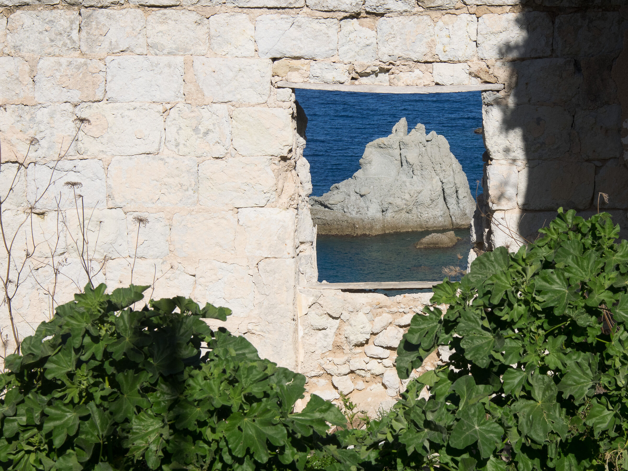 Scoglio