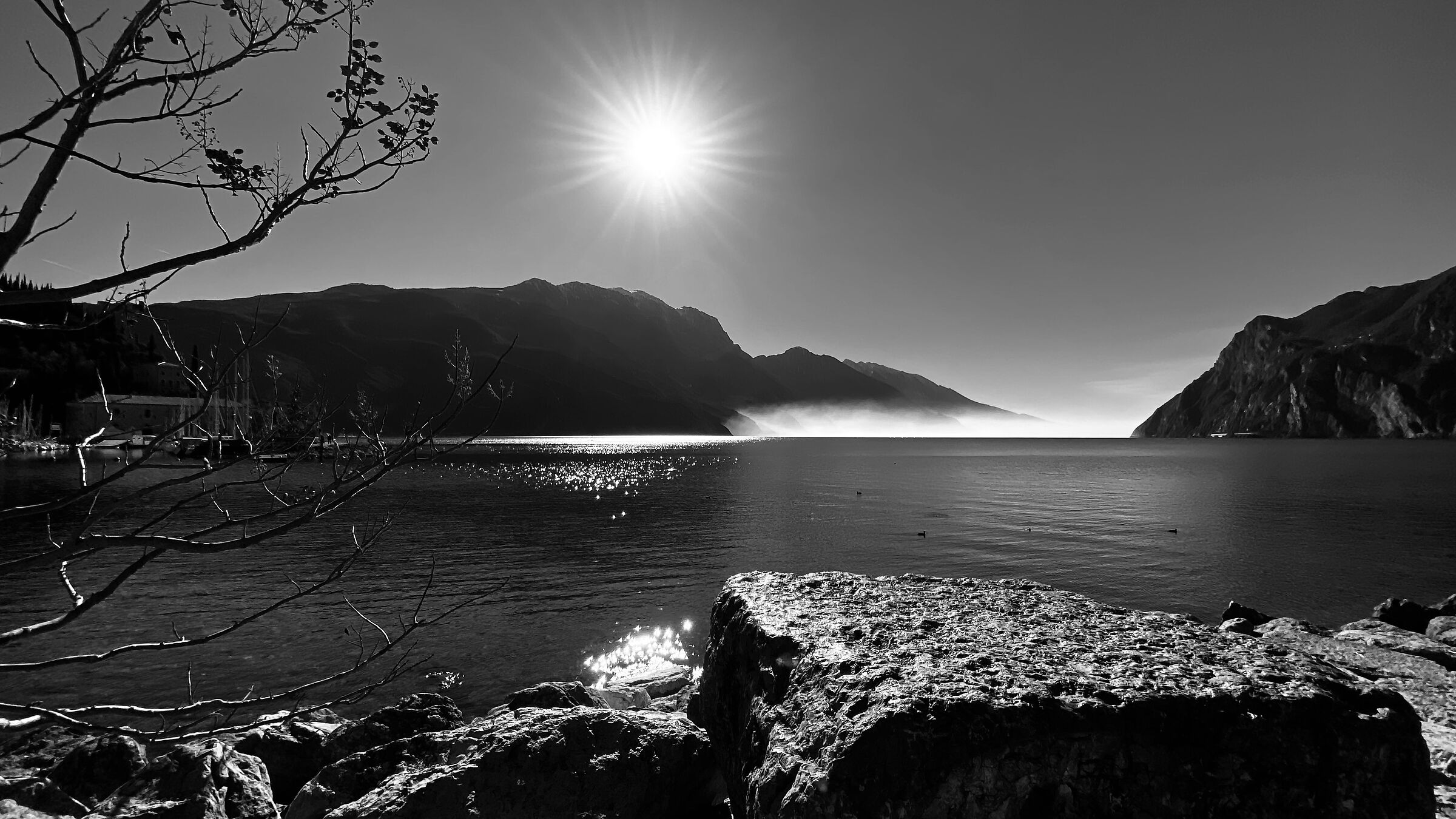 Untitled Photo